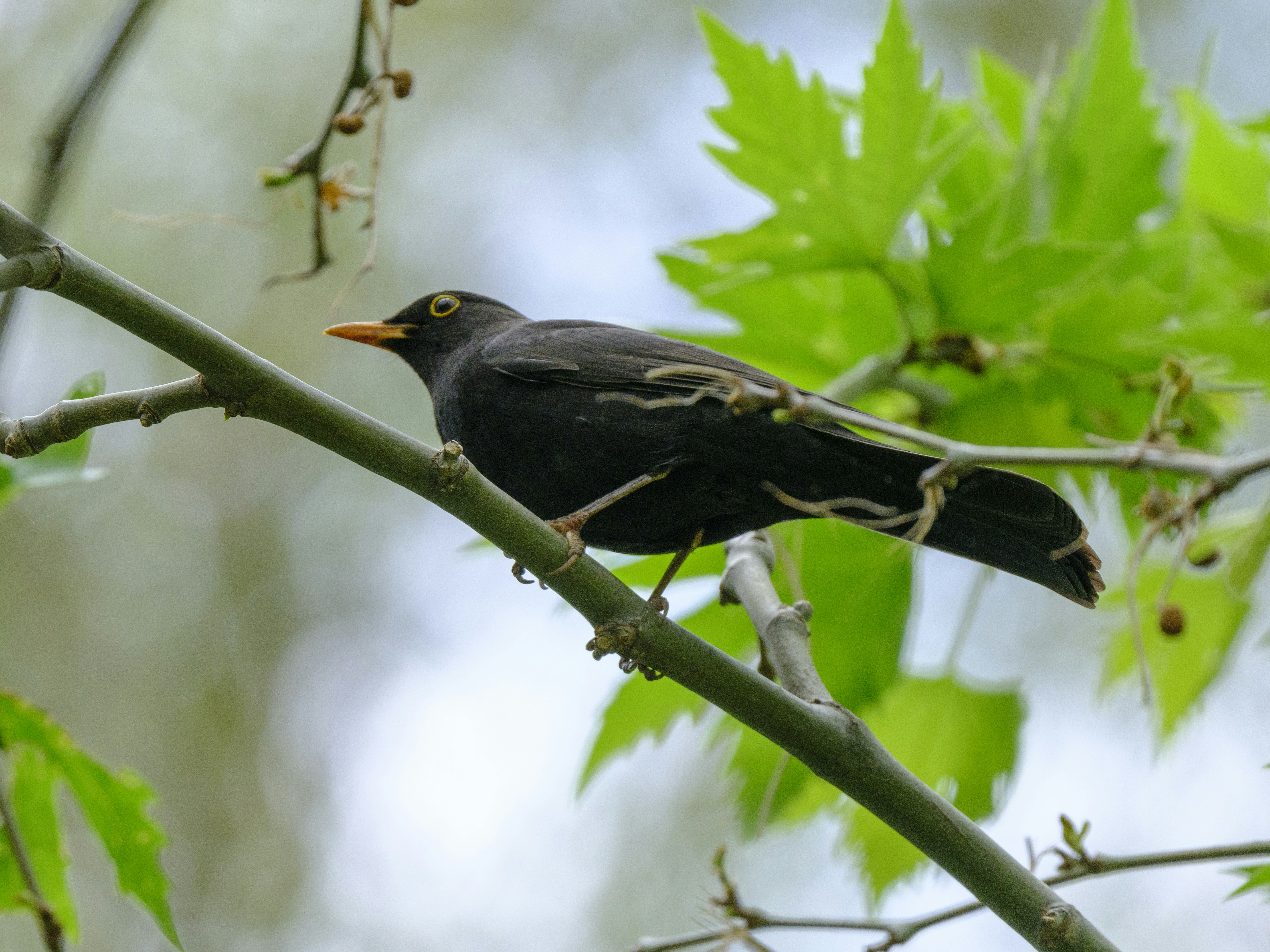 Photo by enginakyurt