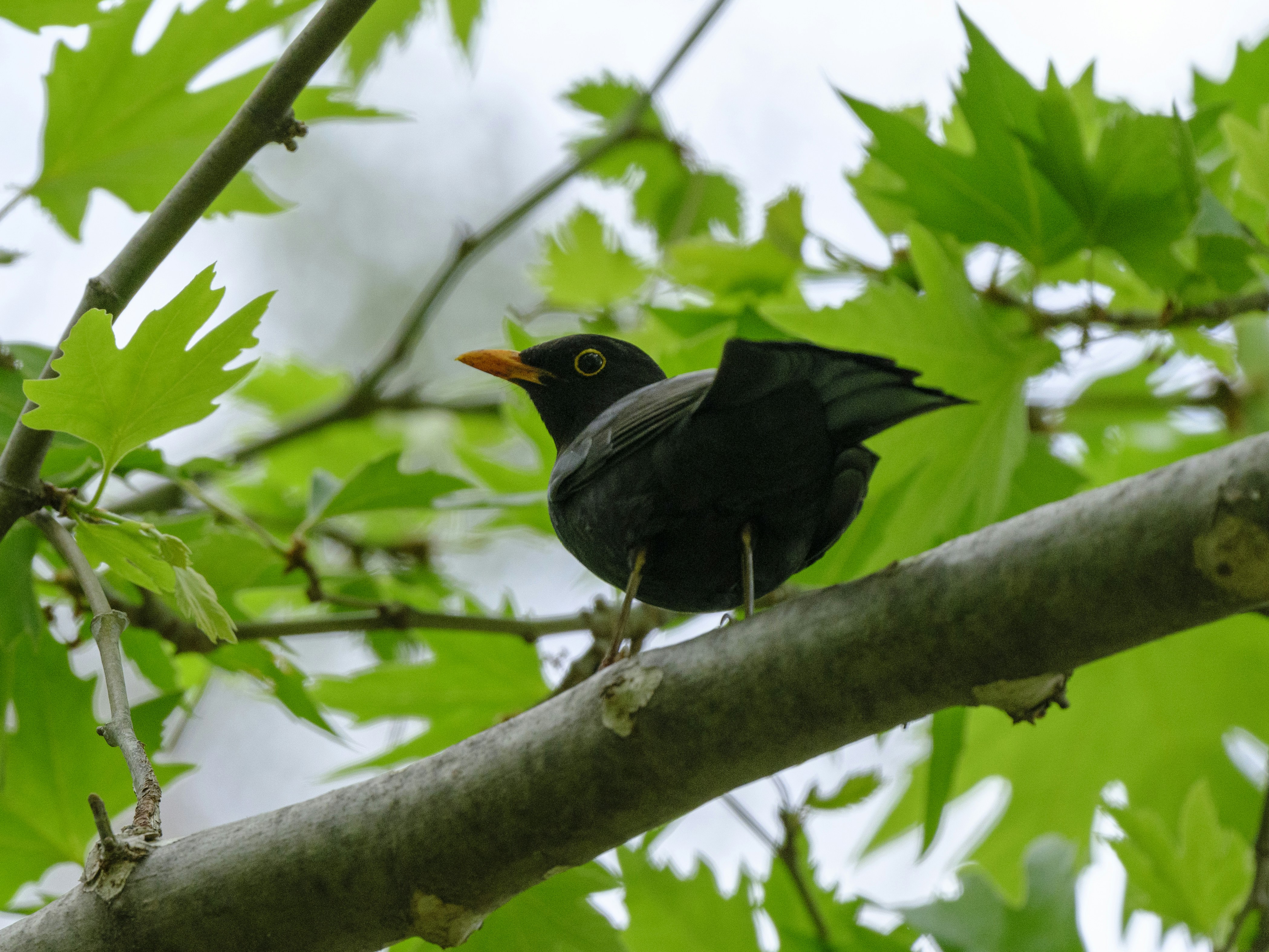 Photo by enginakyurt
