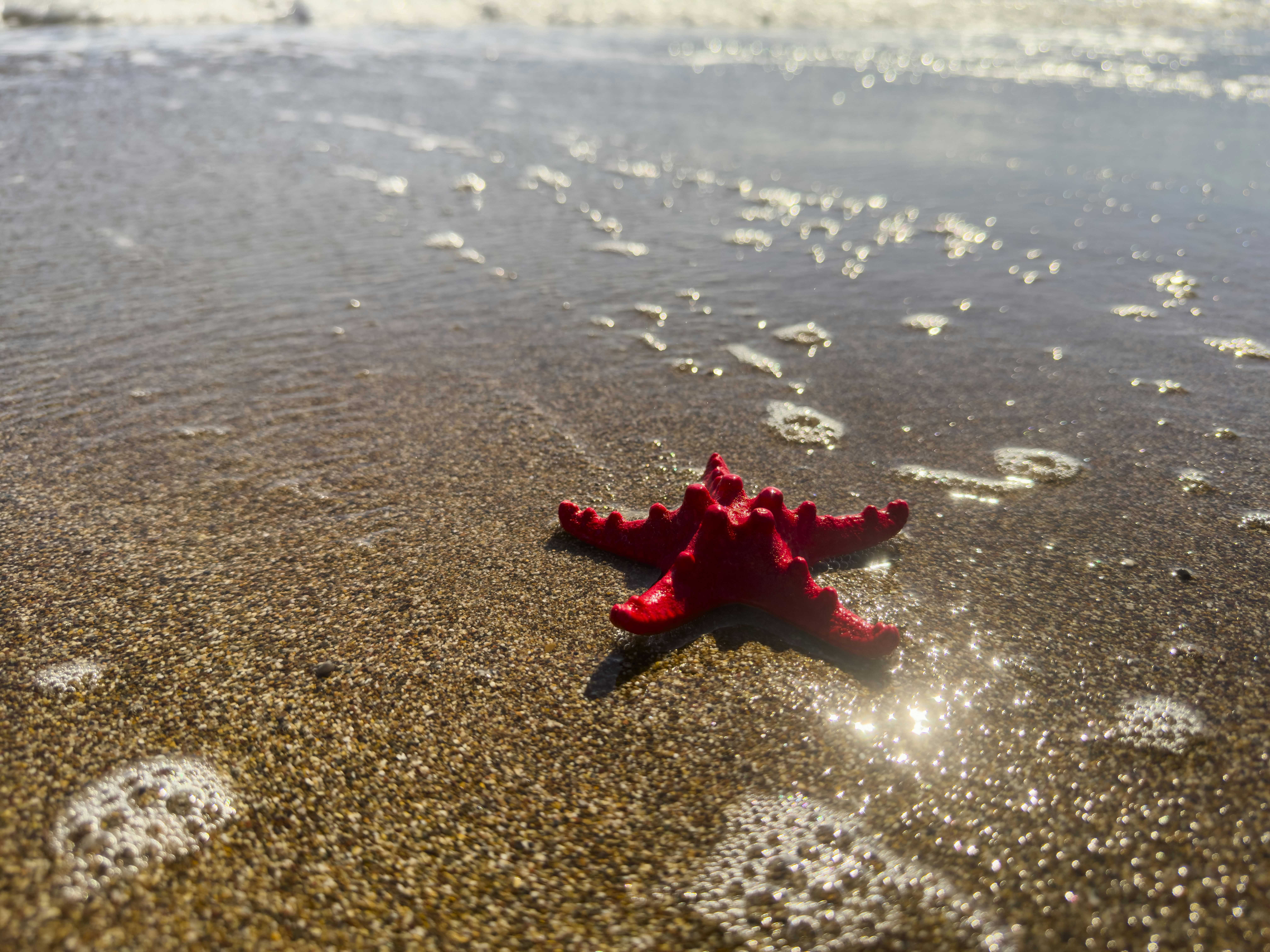 Photo by enginakyurt