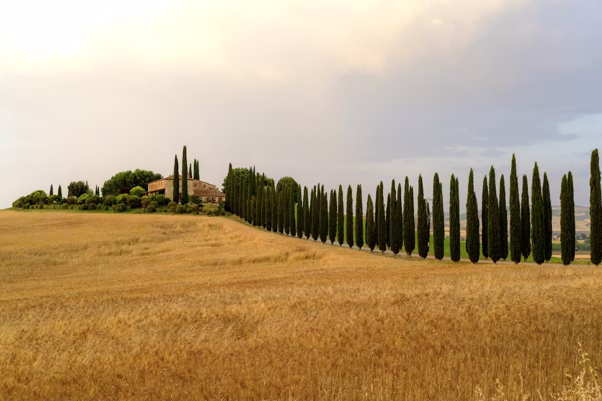 Rénové maison au calme à Biot — Maison · Biot, Provence