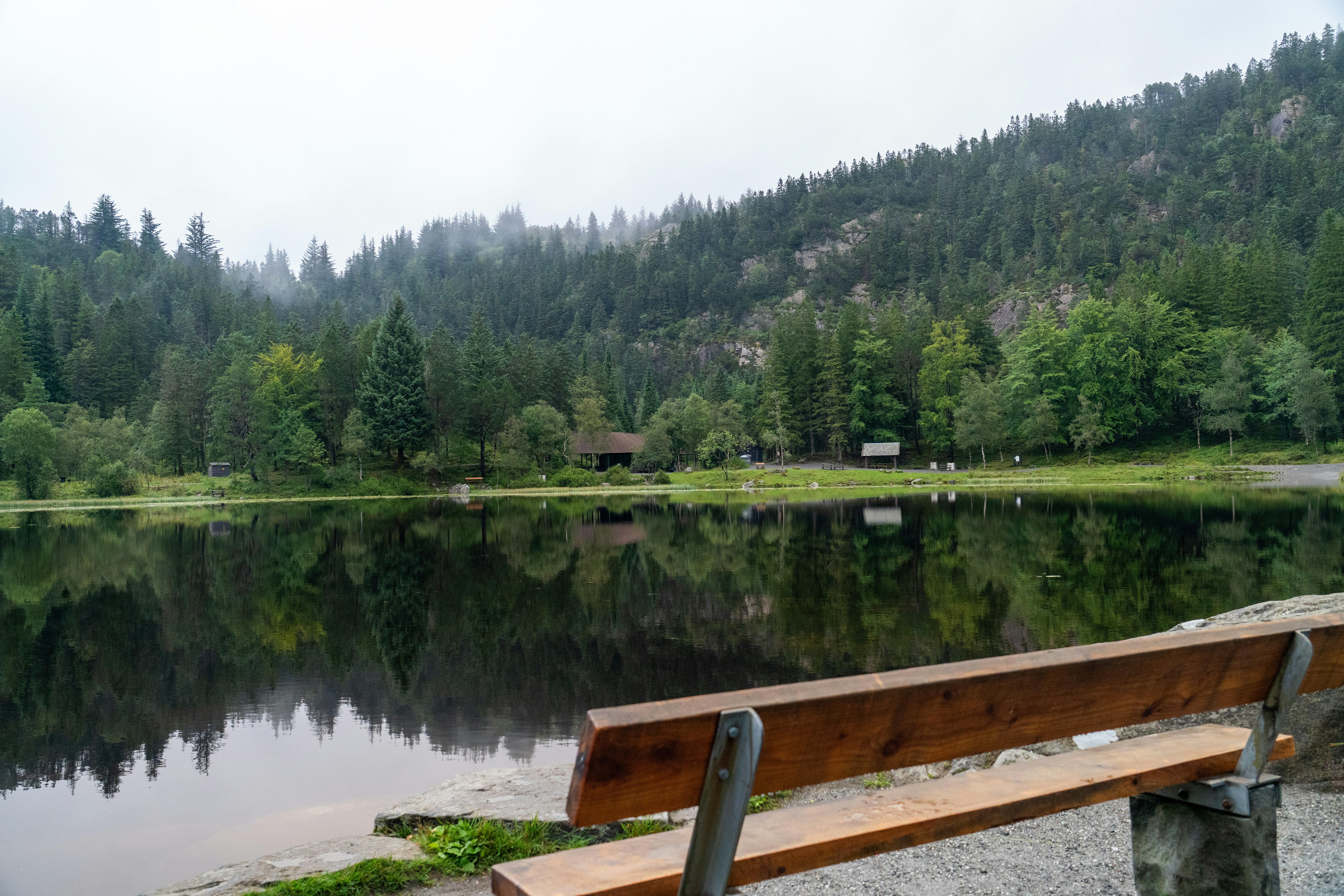 Bench overlooks calm lake surrounded by green forest