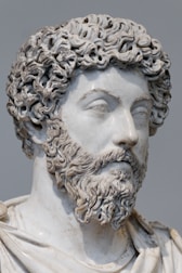 Marcus Aurelius - Meditations (LINK)