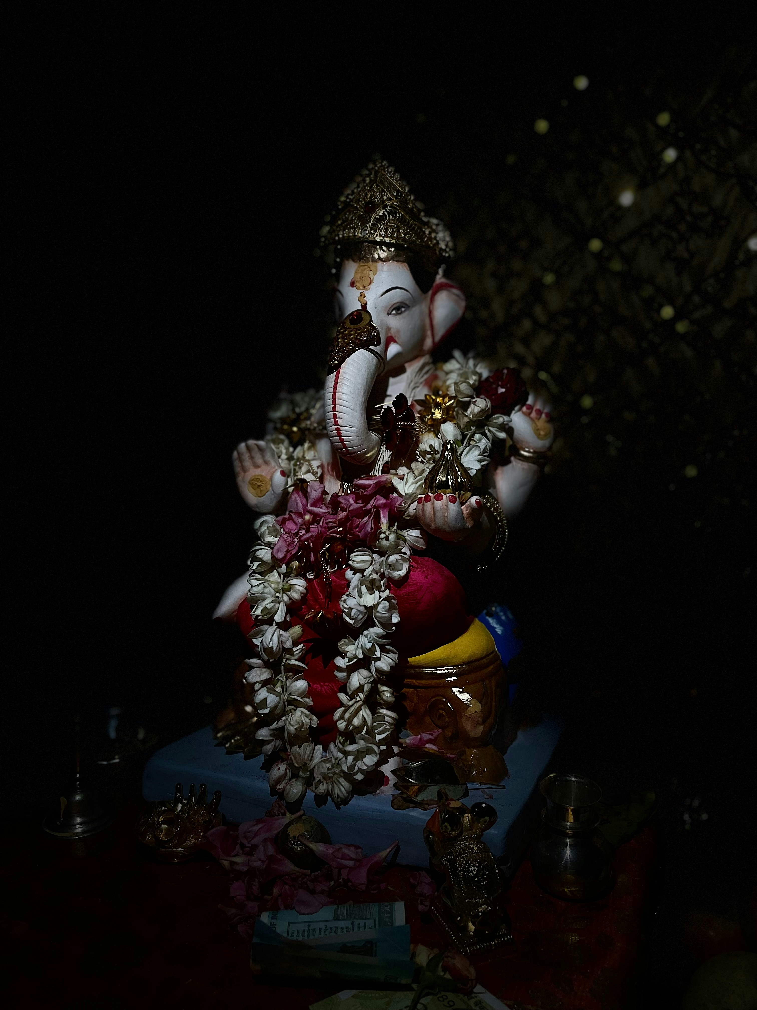 Photo by bhushan_1101