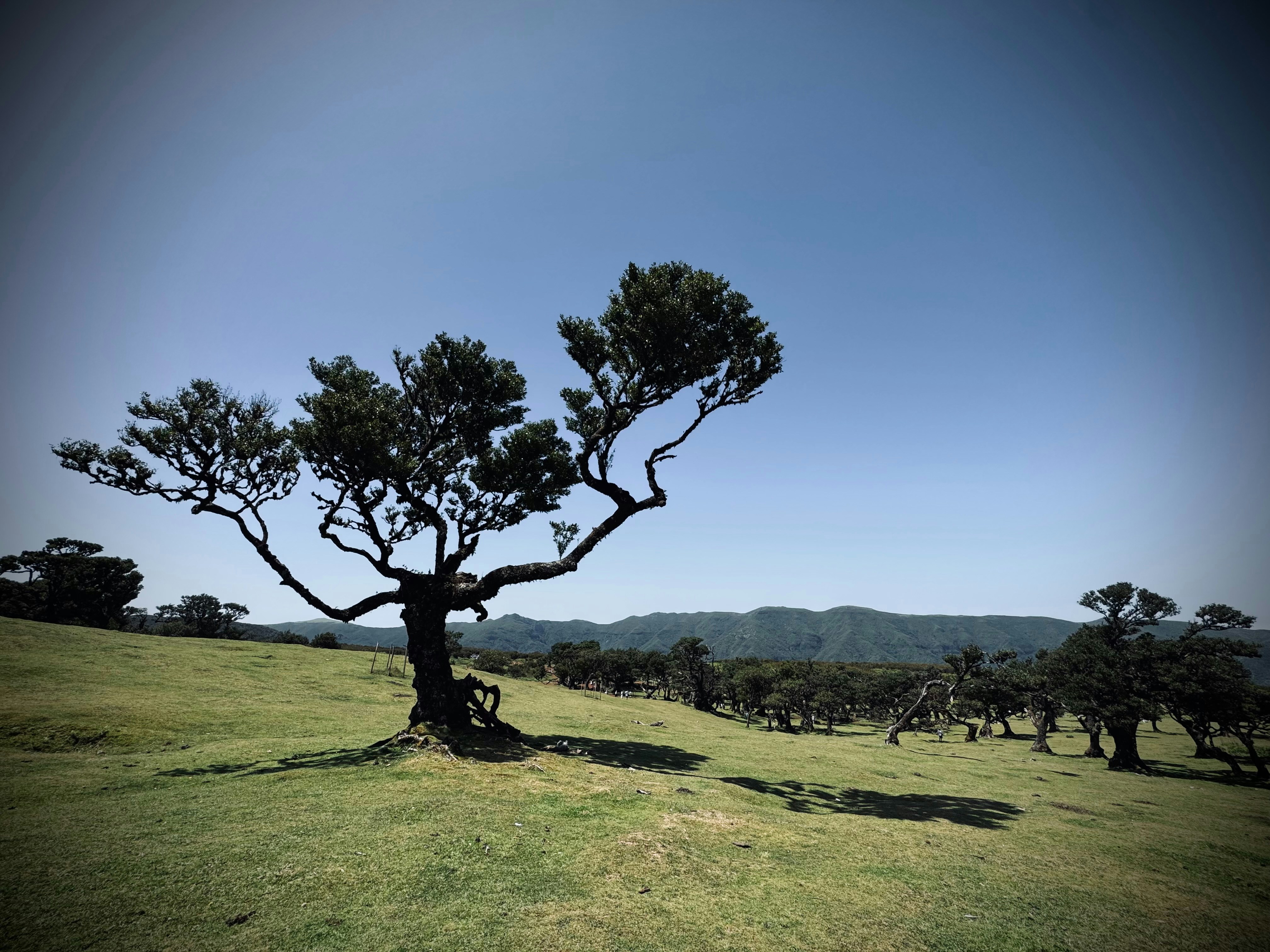 Photo by no_second_best