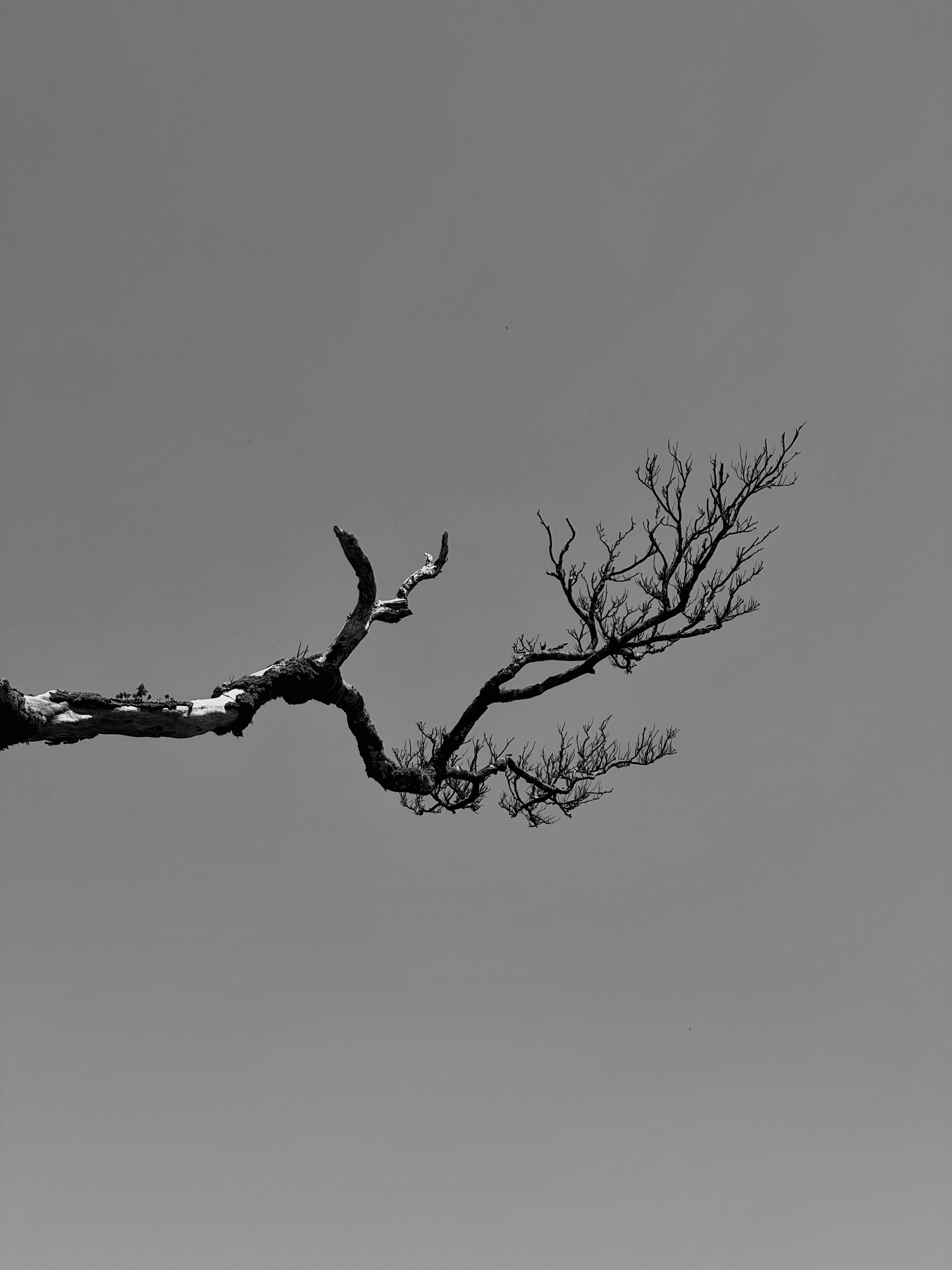 Photo by no_second_best