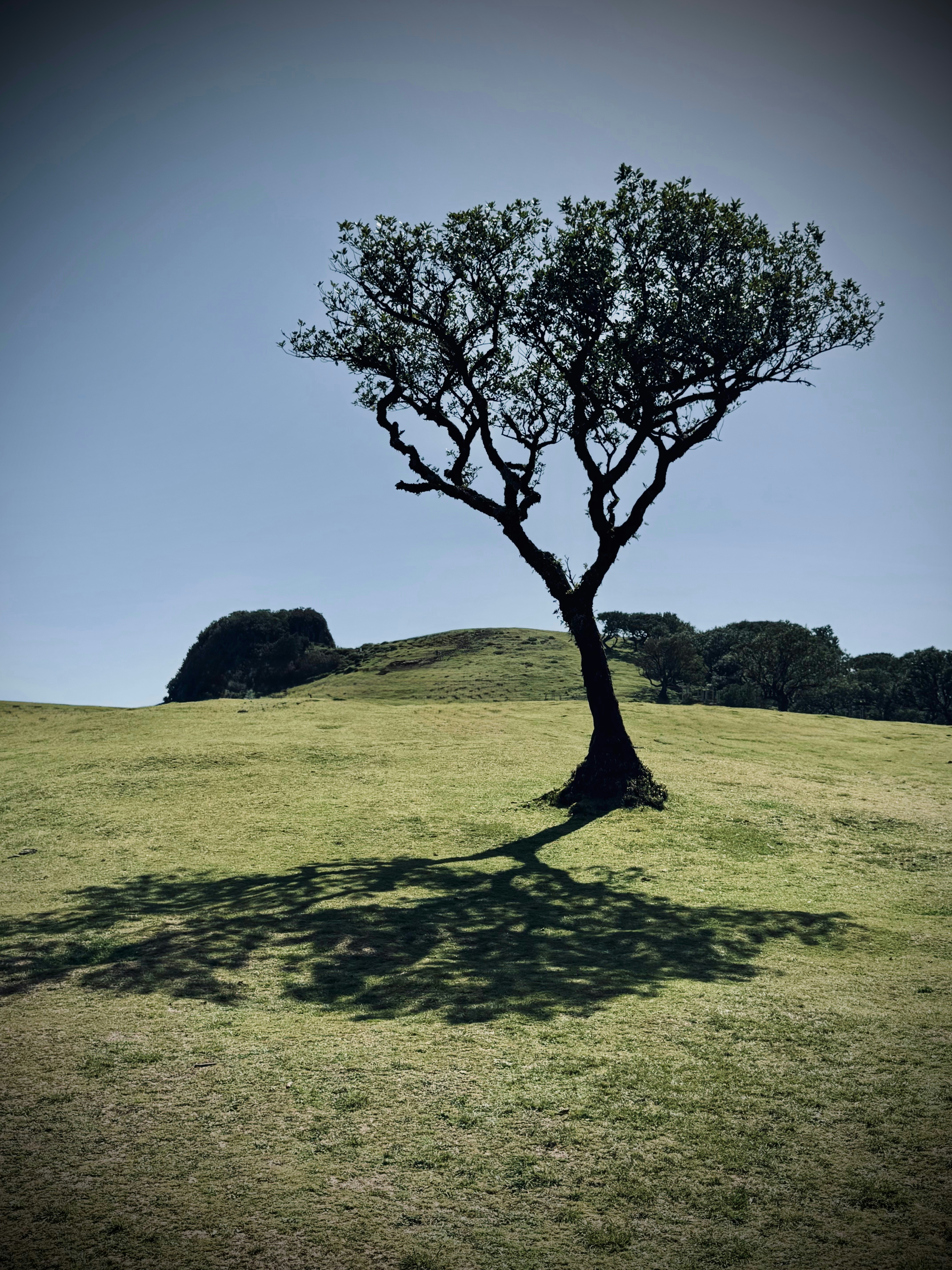 Photo by no_second_best