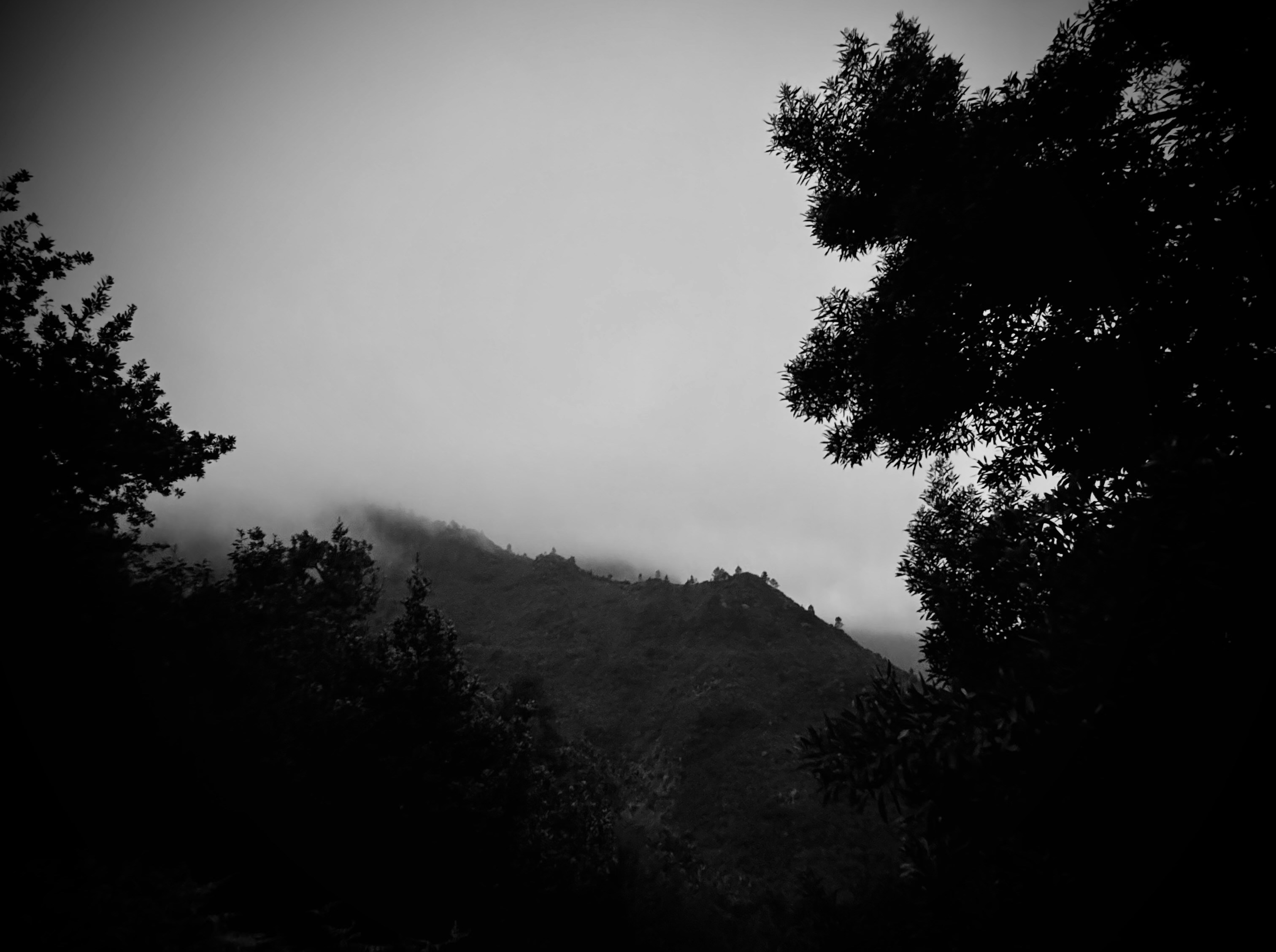 Photo by no_second_best