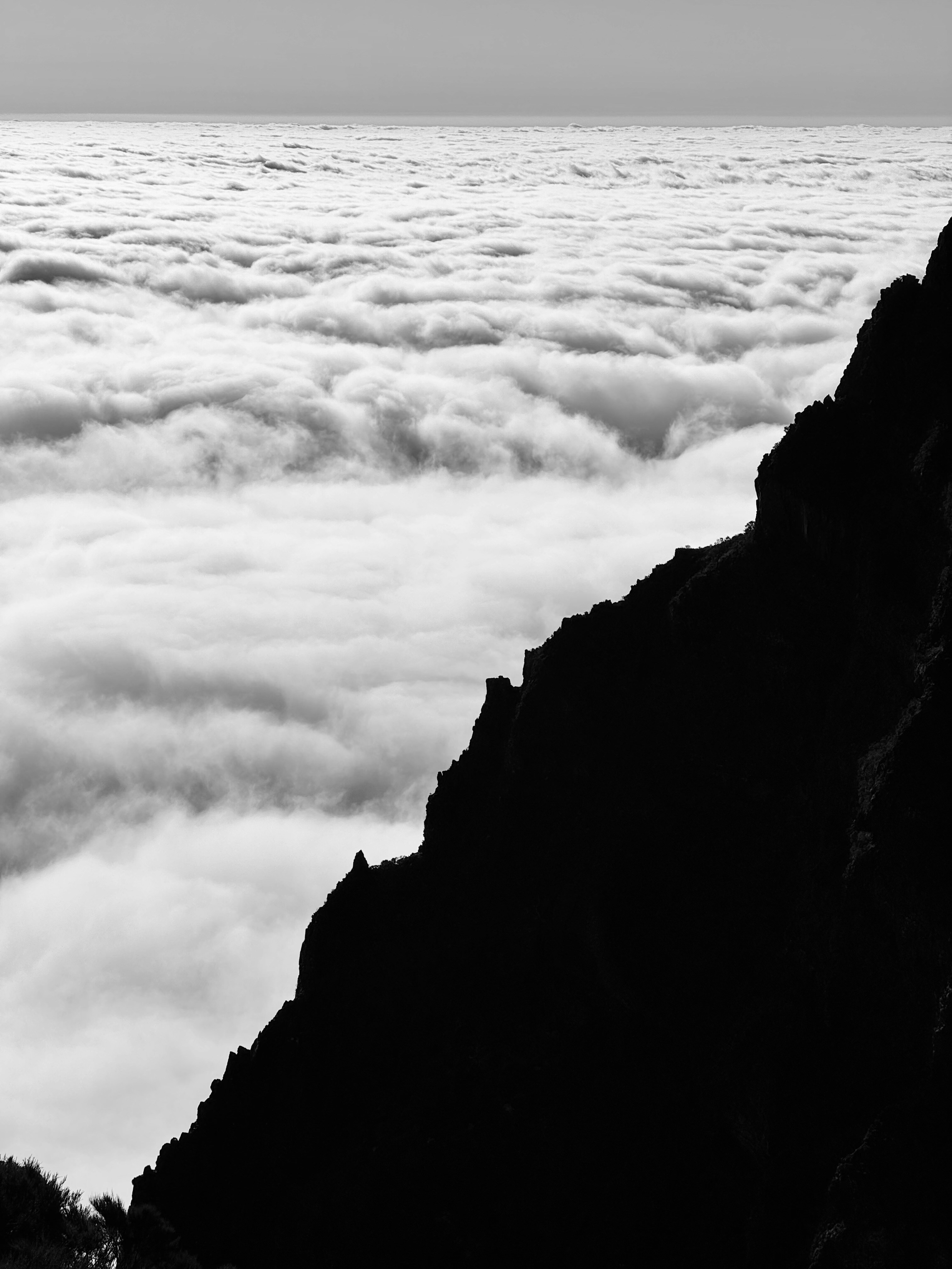 Photo by no_second_best