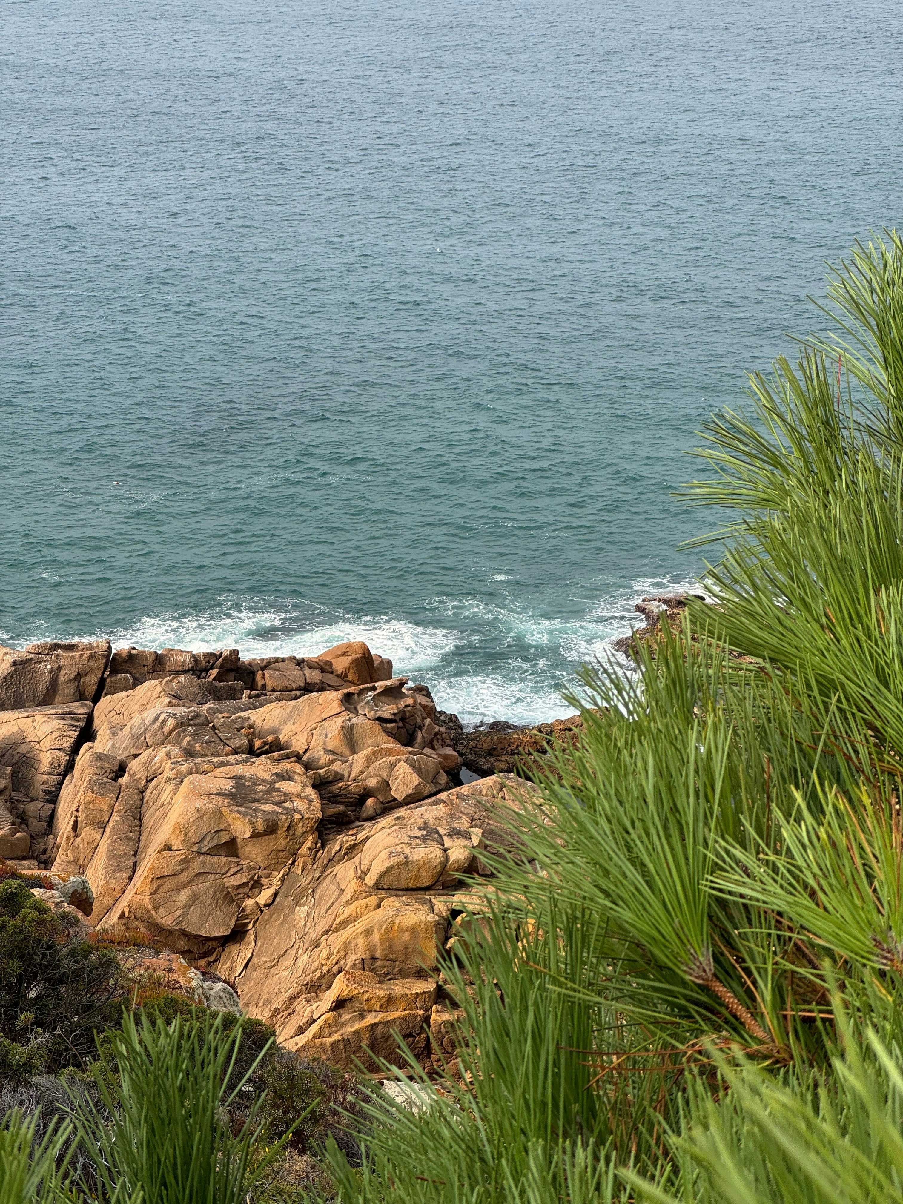 Photo by no_second_best