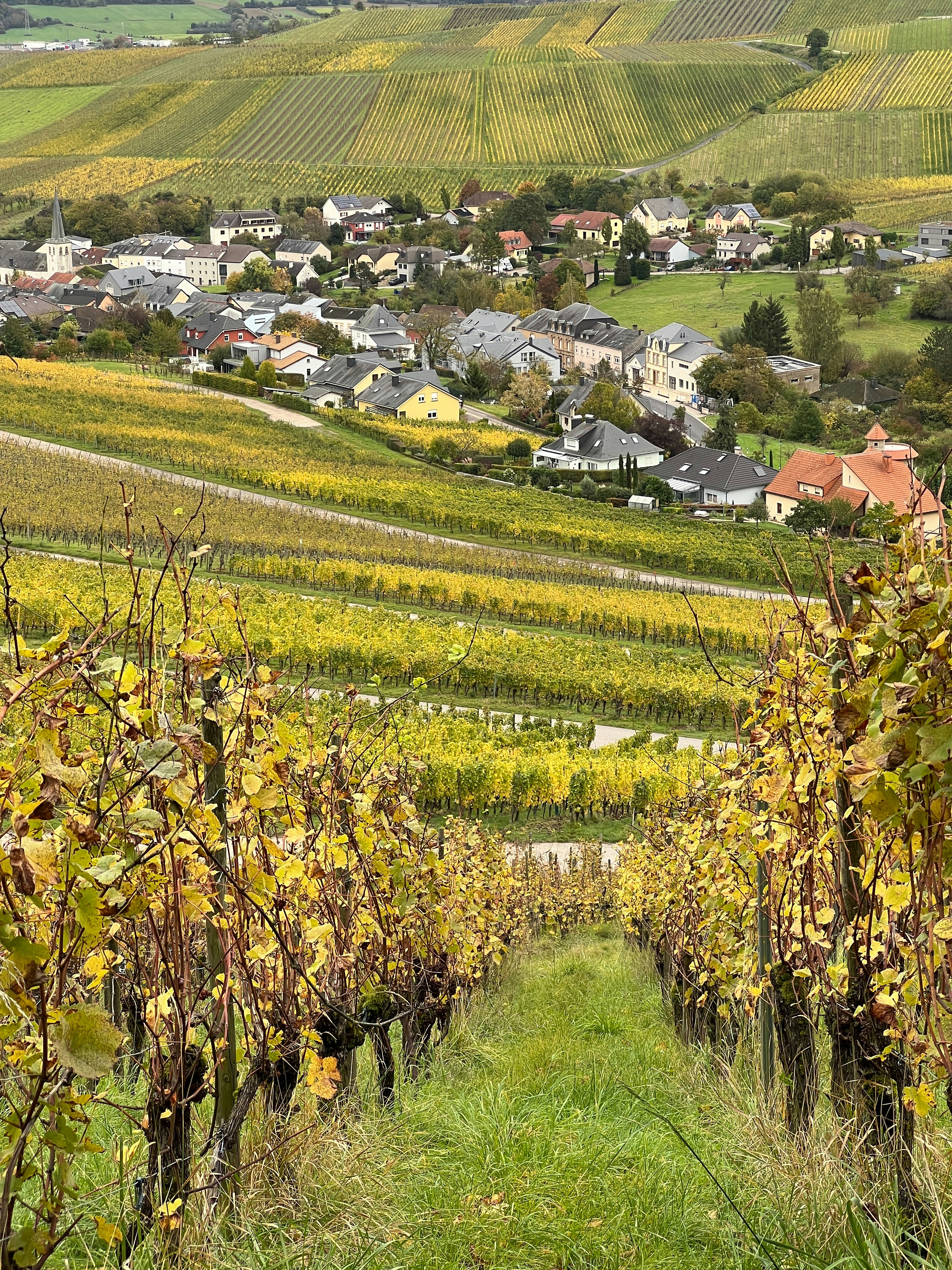 Photo by sweetspring