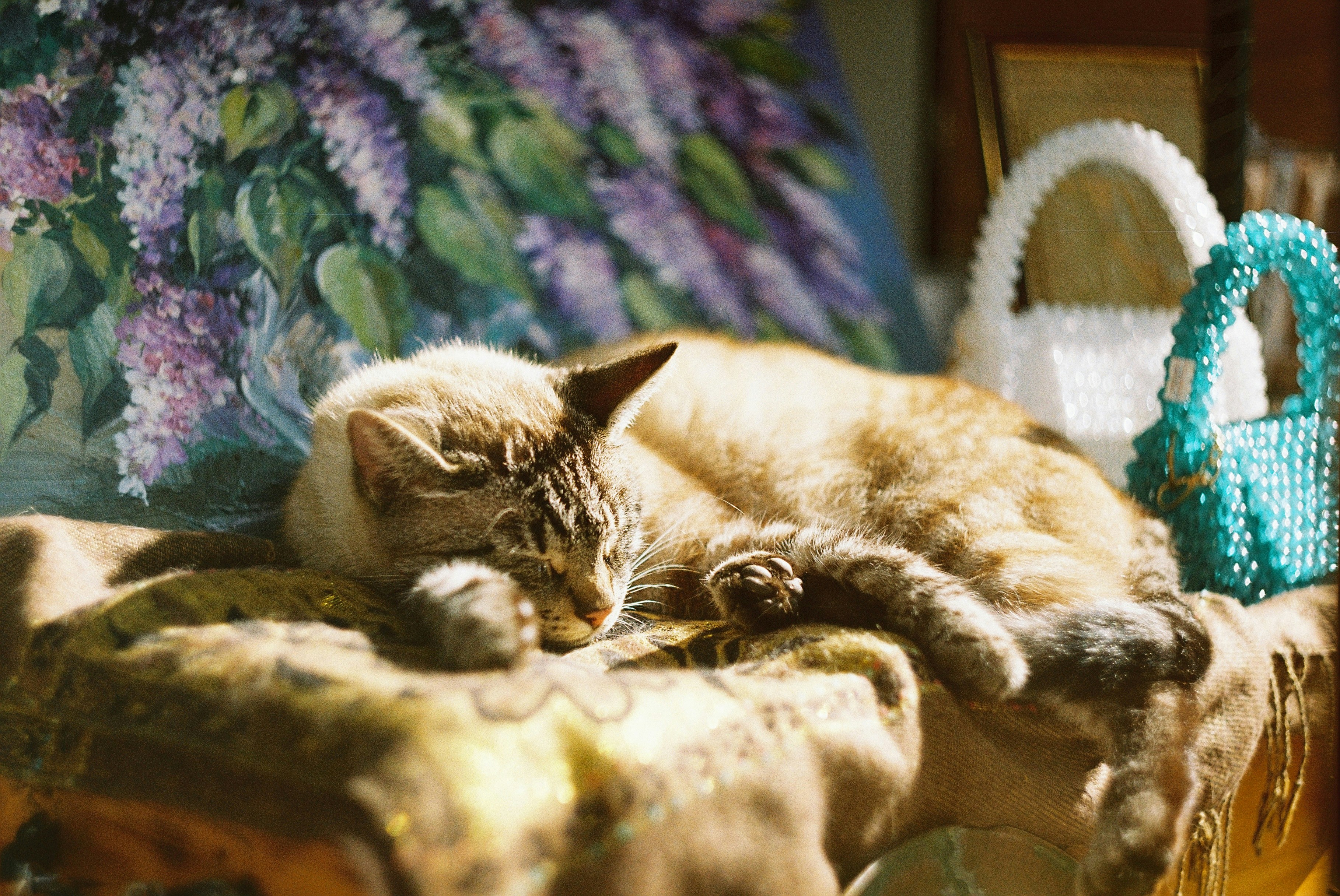 Photo by manuallensfan