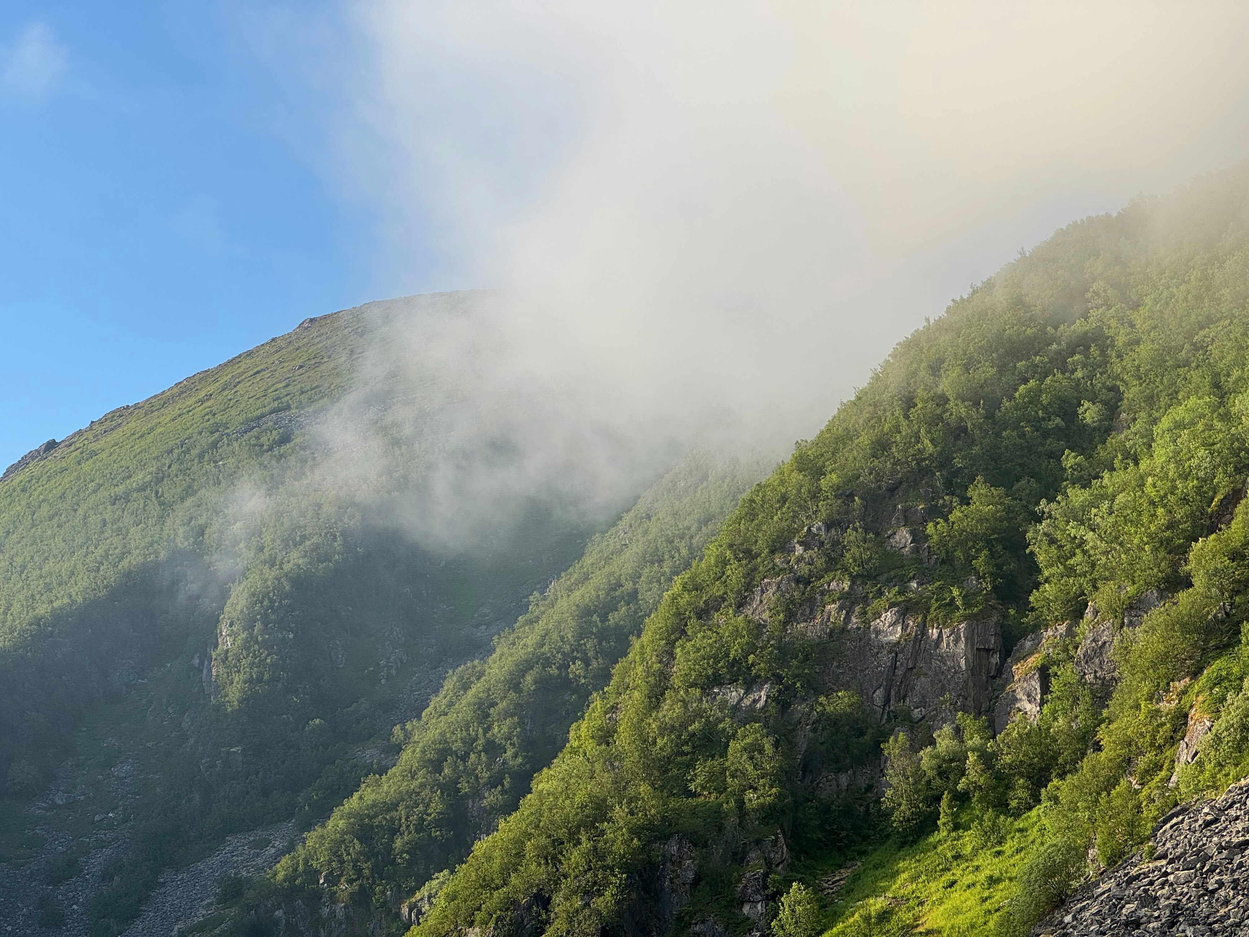 Photo by no_second_best