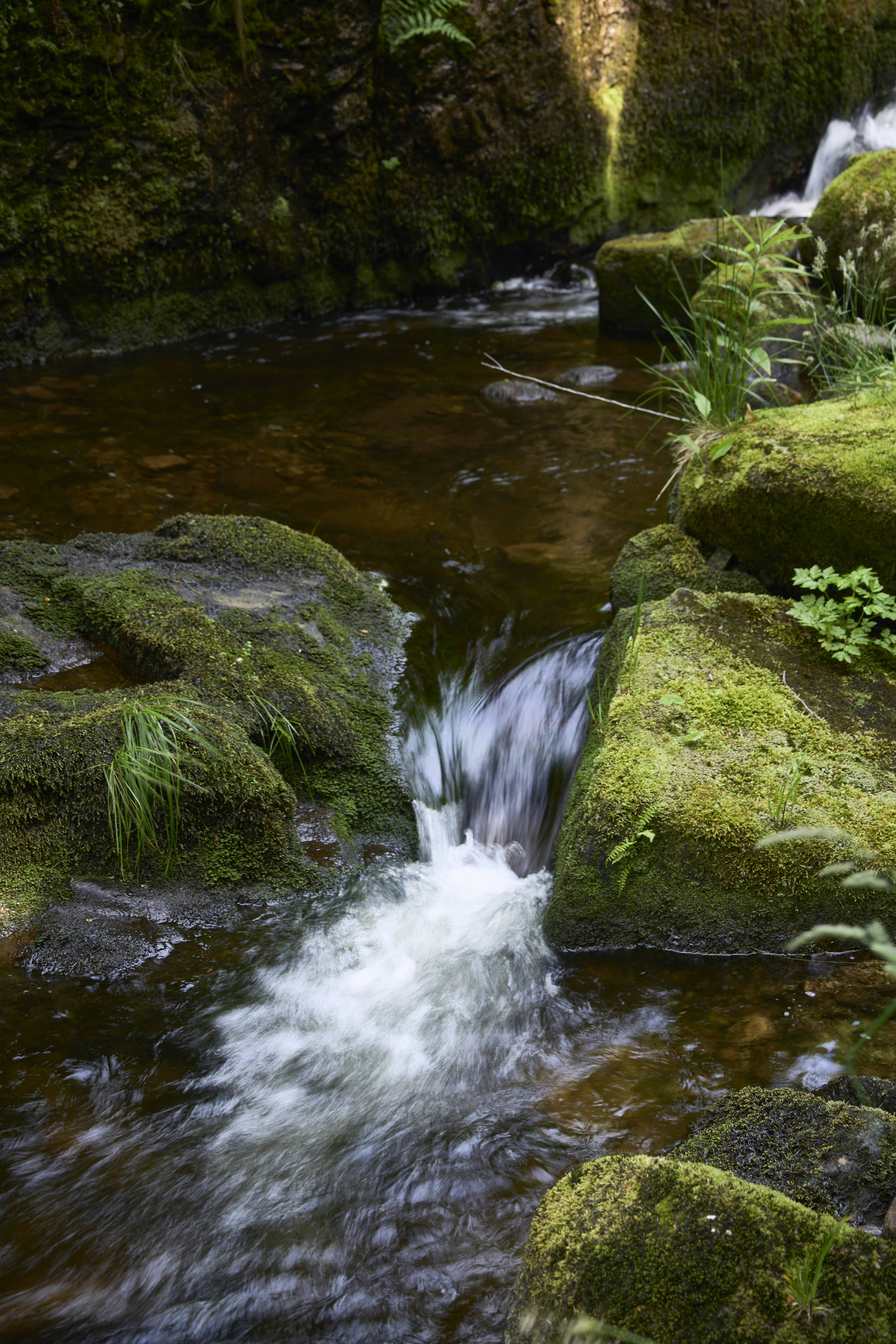 Photo by wolfgang_hasselmann