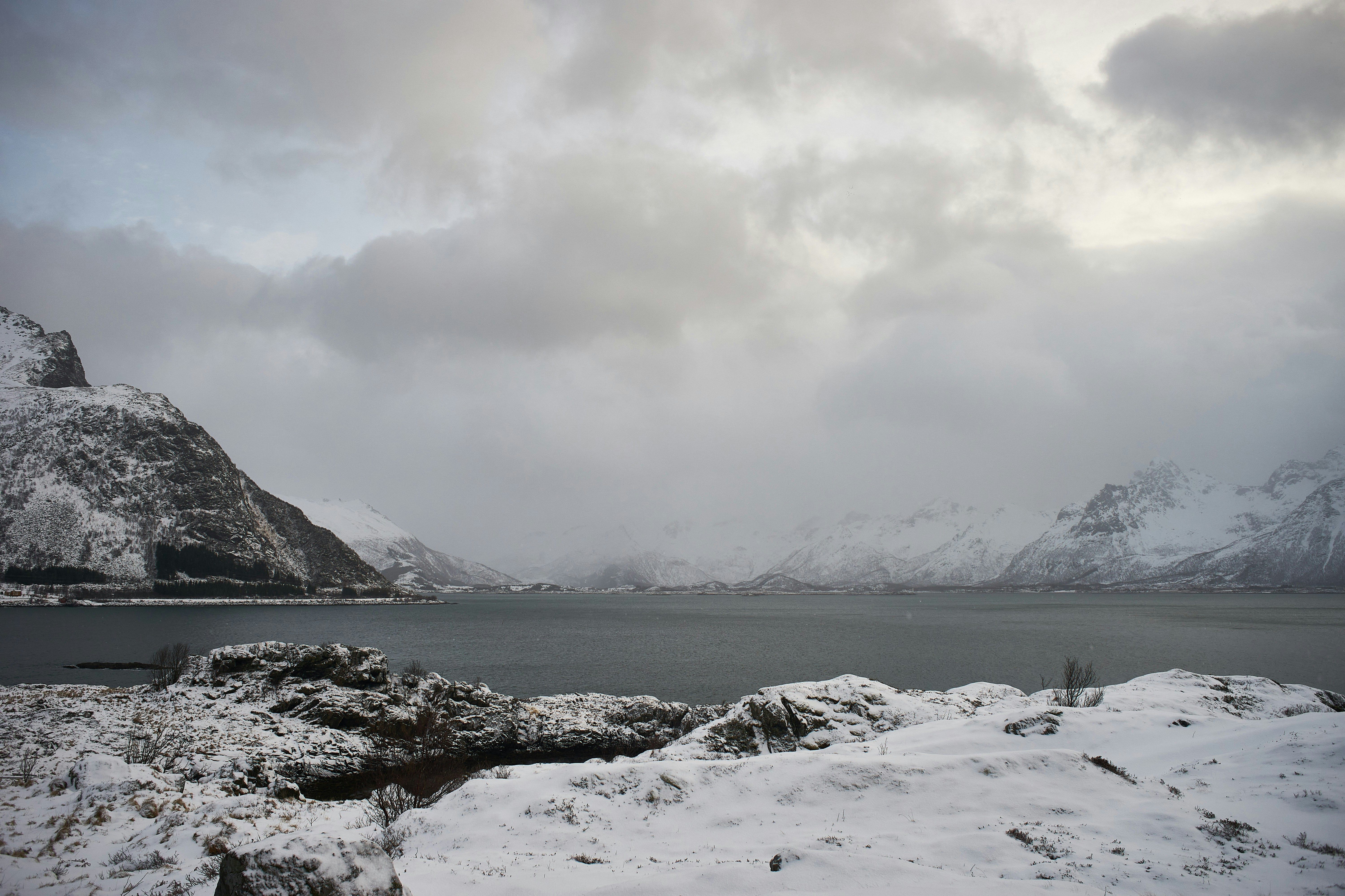 Photo by wolfgang_hasselmann