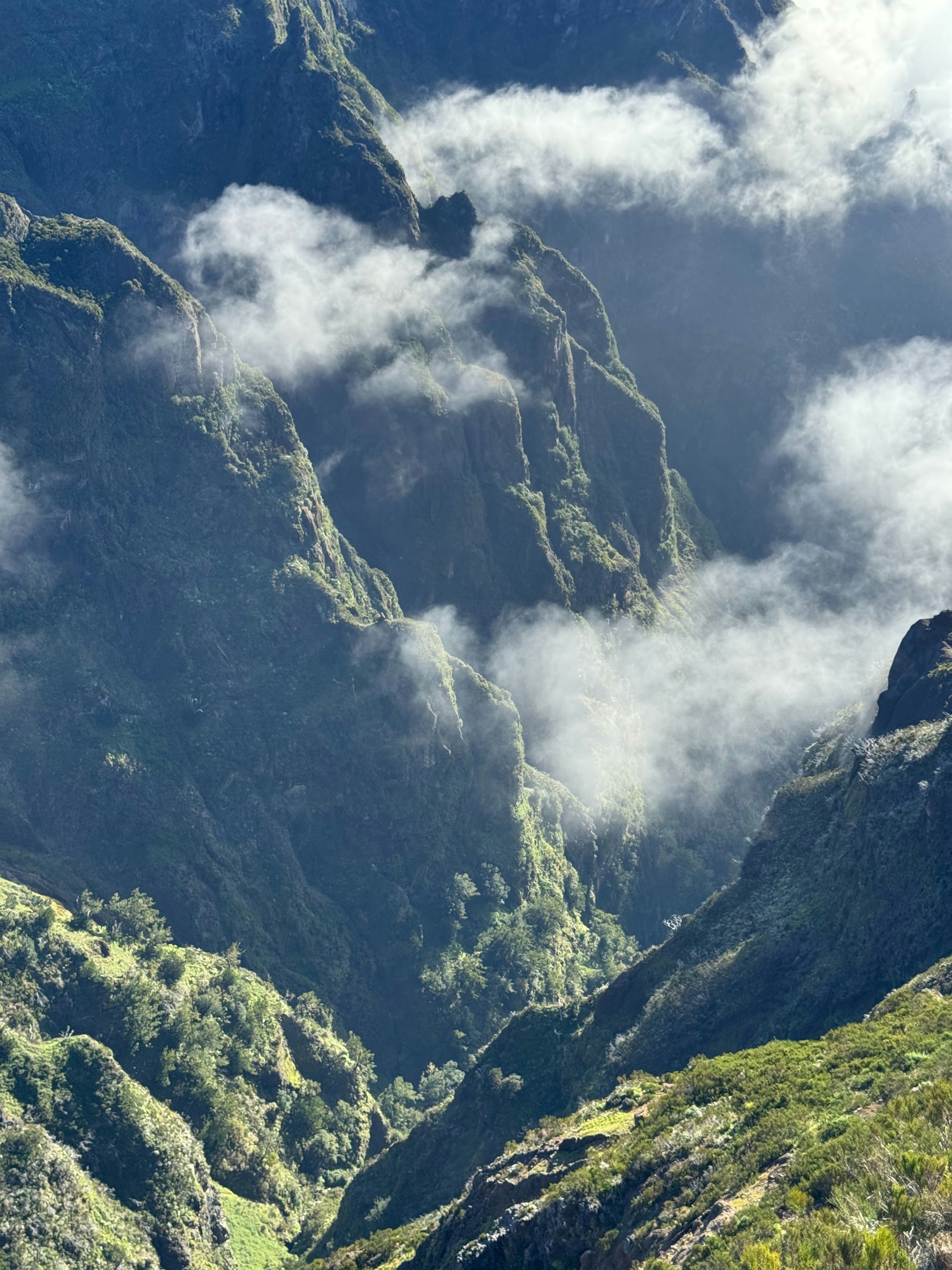 Photo by no_second_best