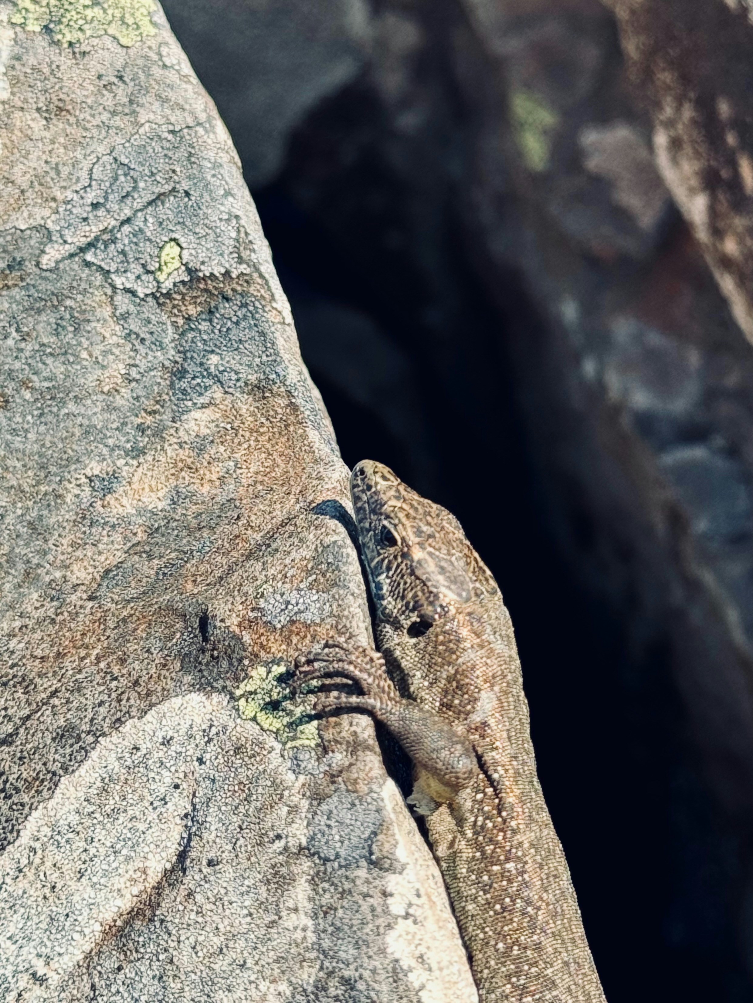 Photo by no_second_best