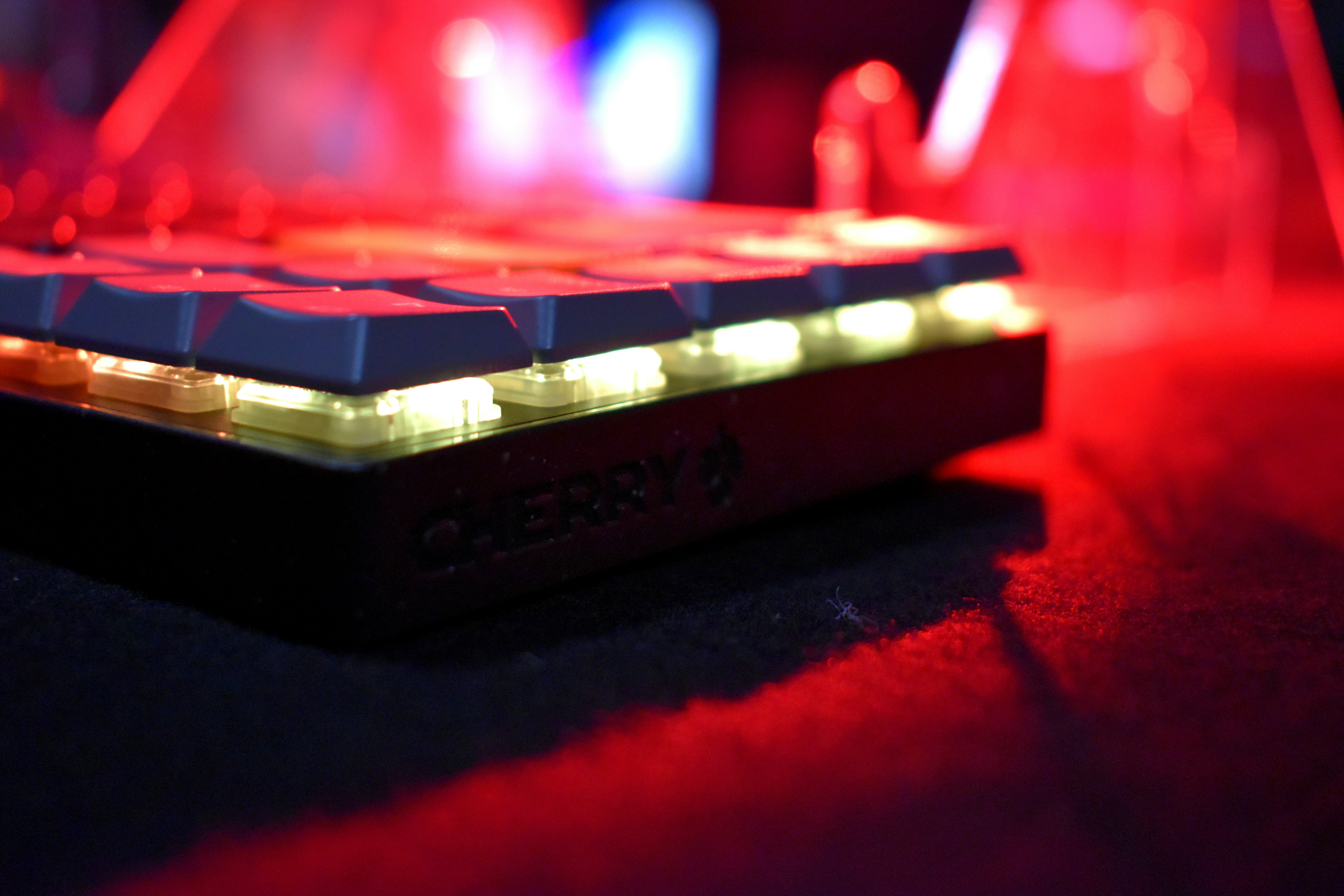 Photo by gavinspavin