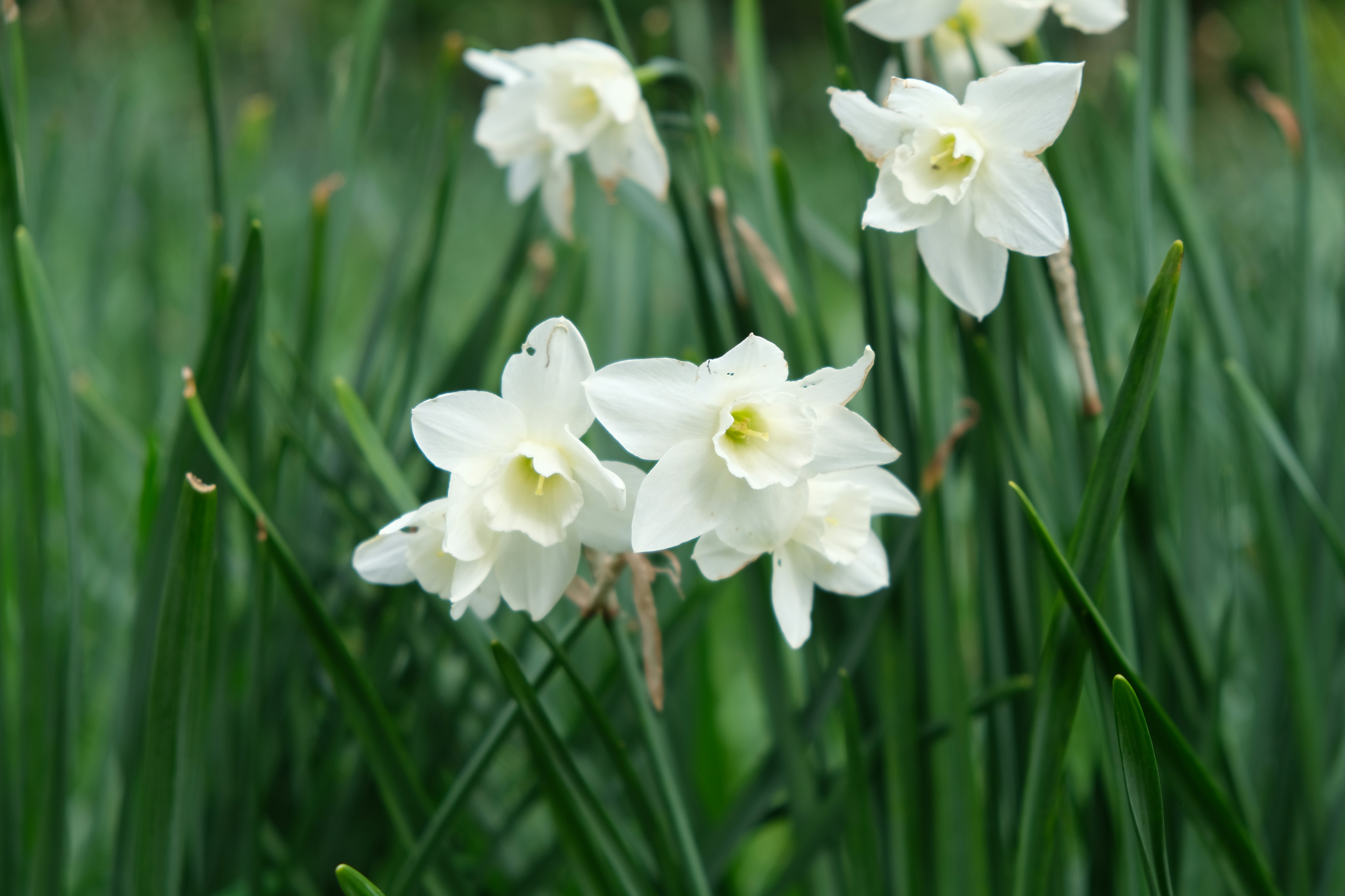 Photo by sara_thaundrdawg