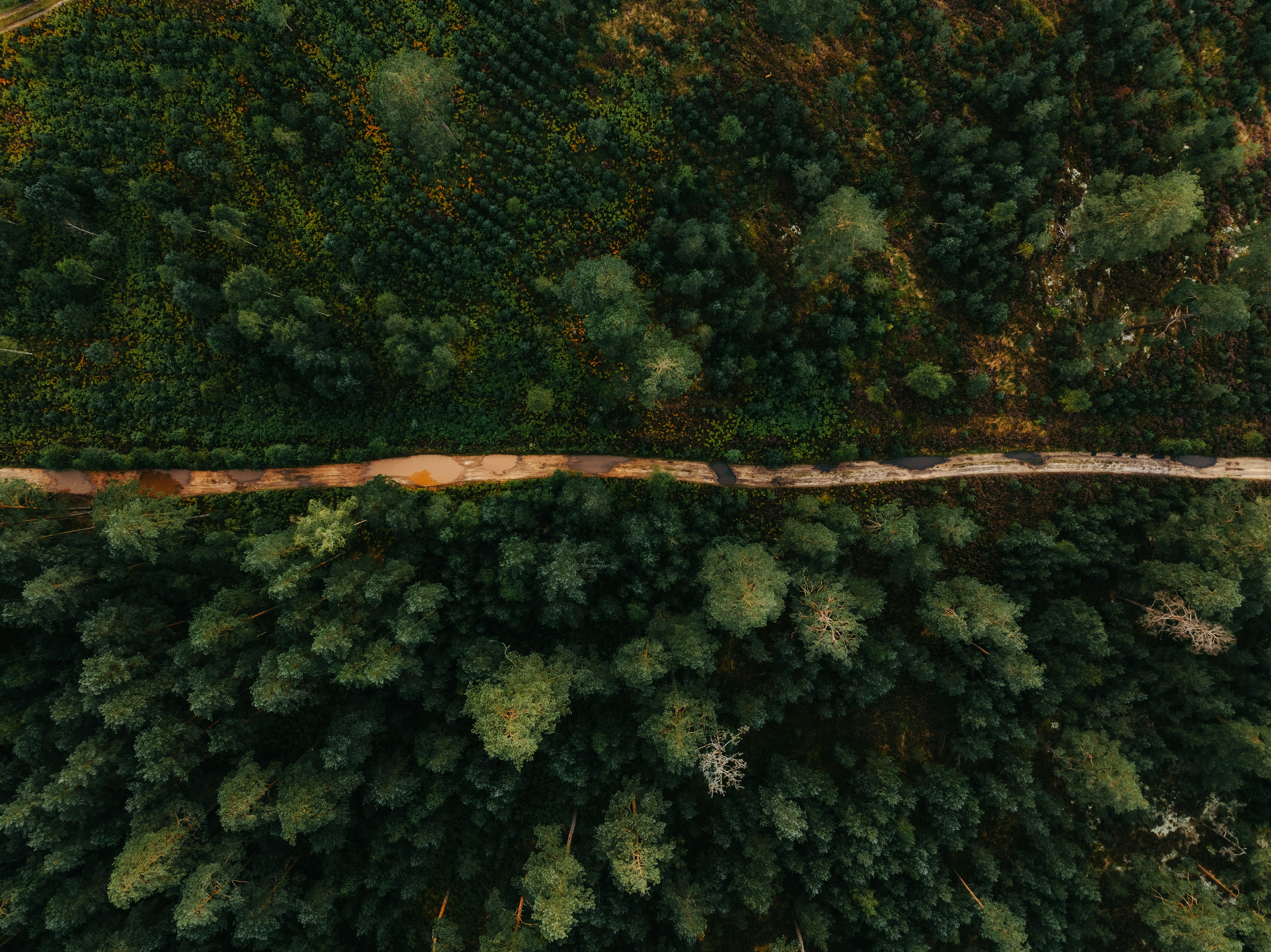 Photo by kristapsungurs