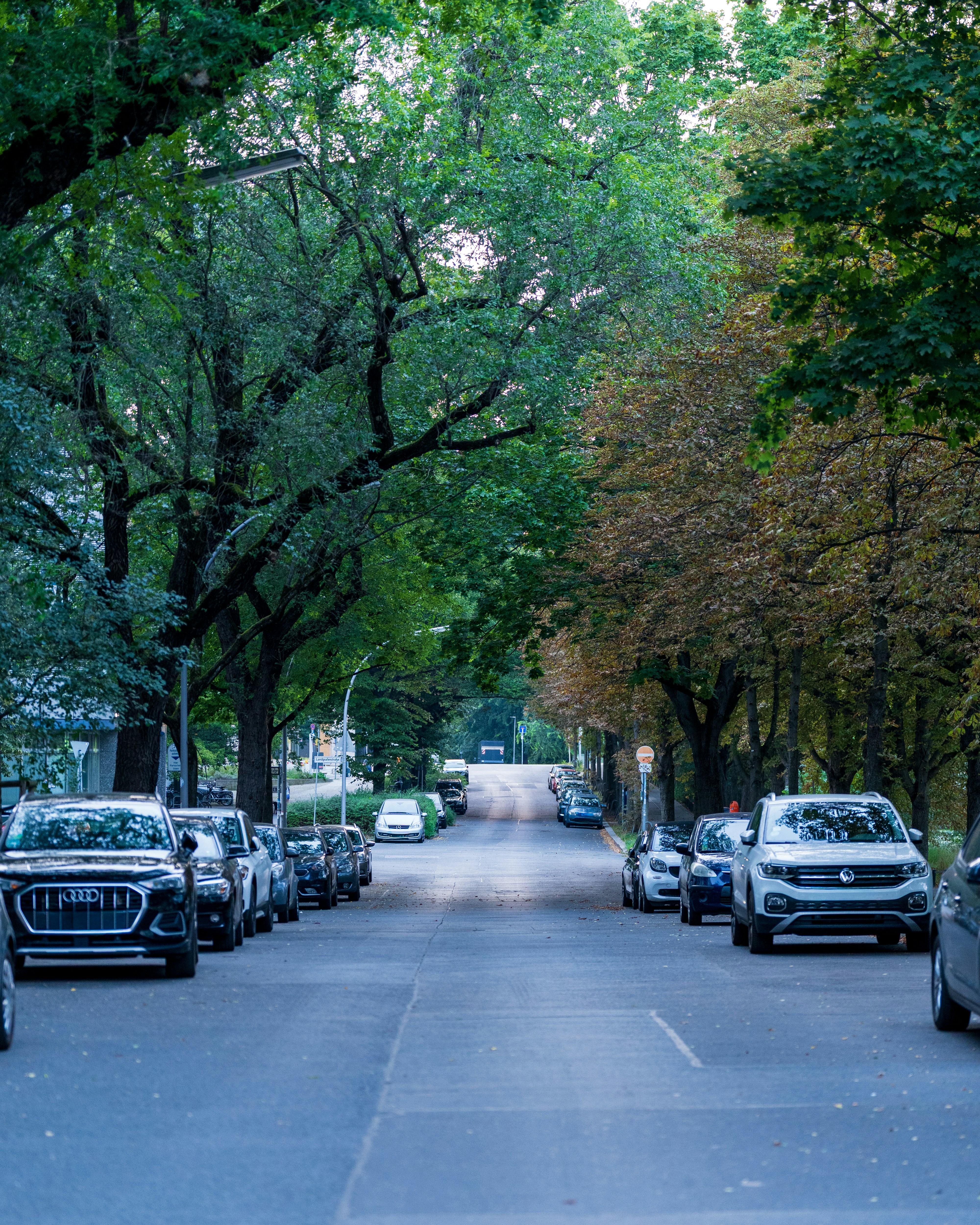 Photo by bangscreative