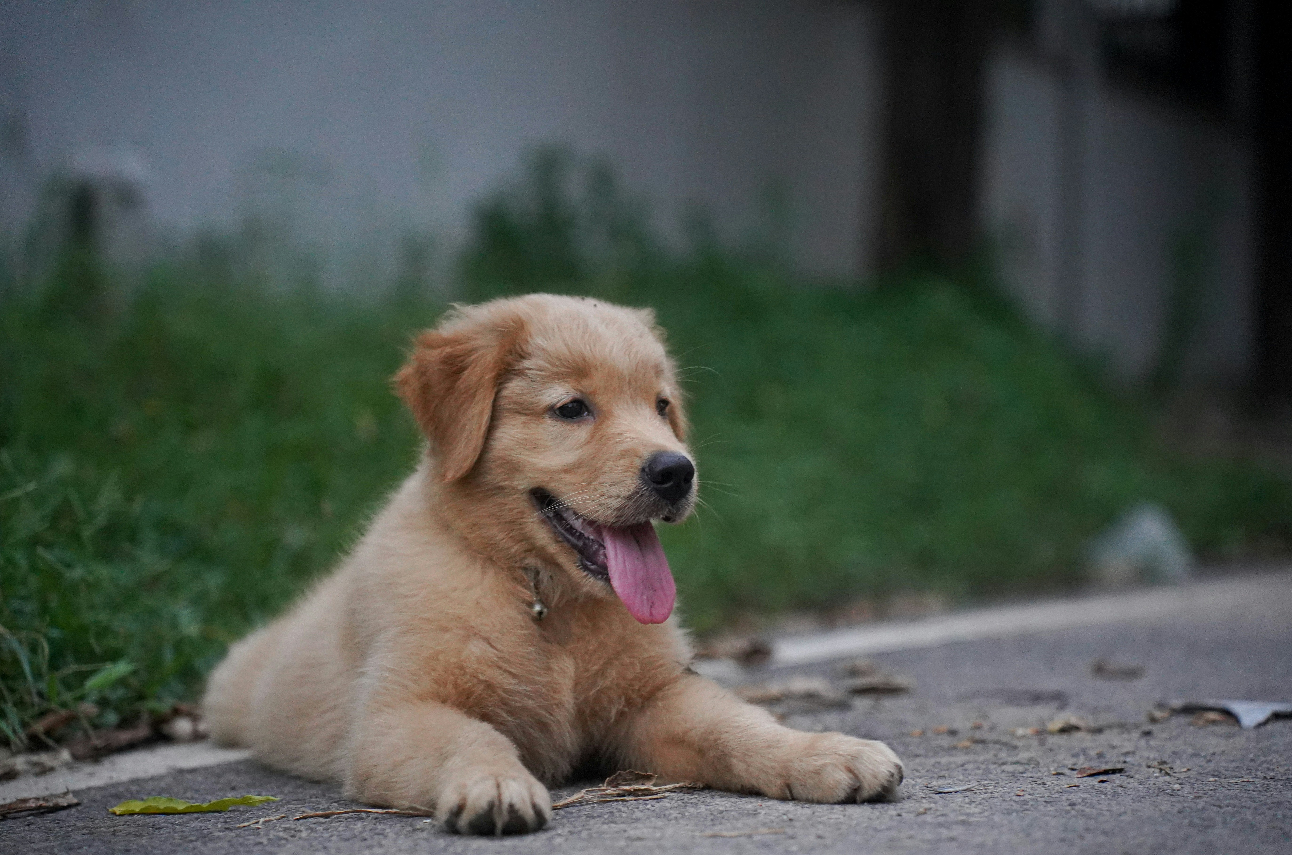 Photo by rahuldaanga