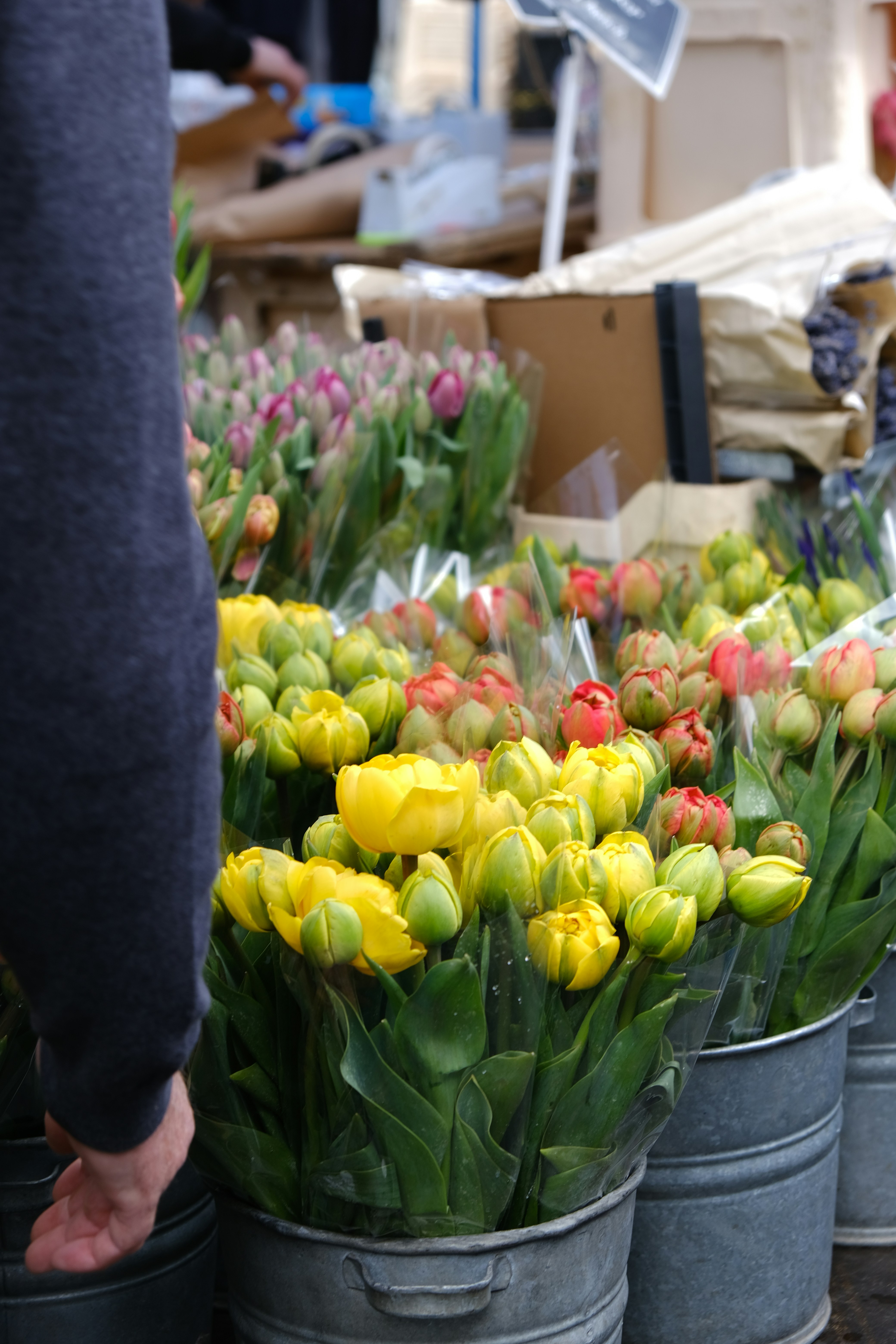 Photo by sara_thaundrdawg