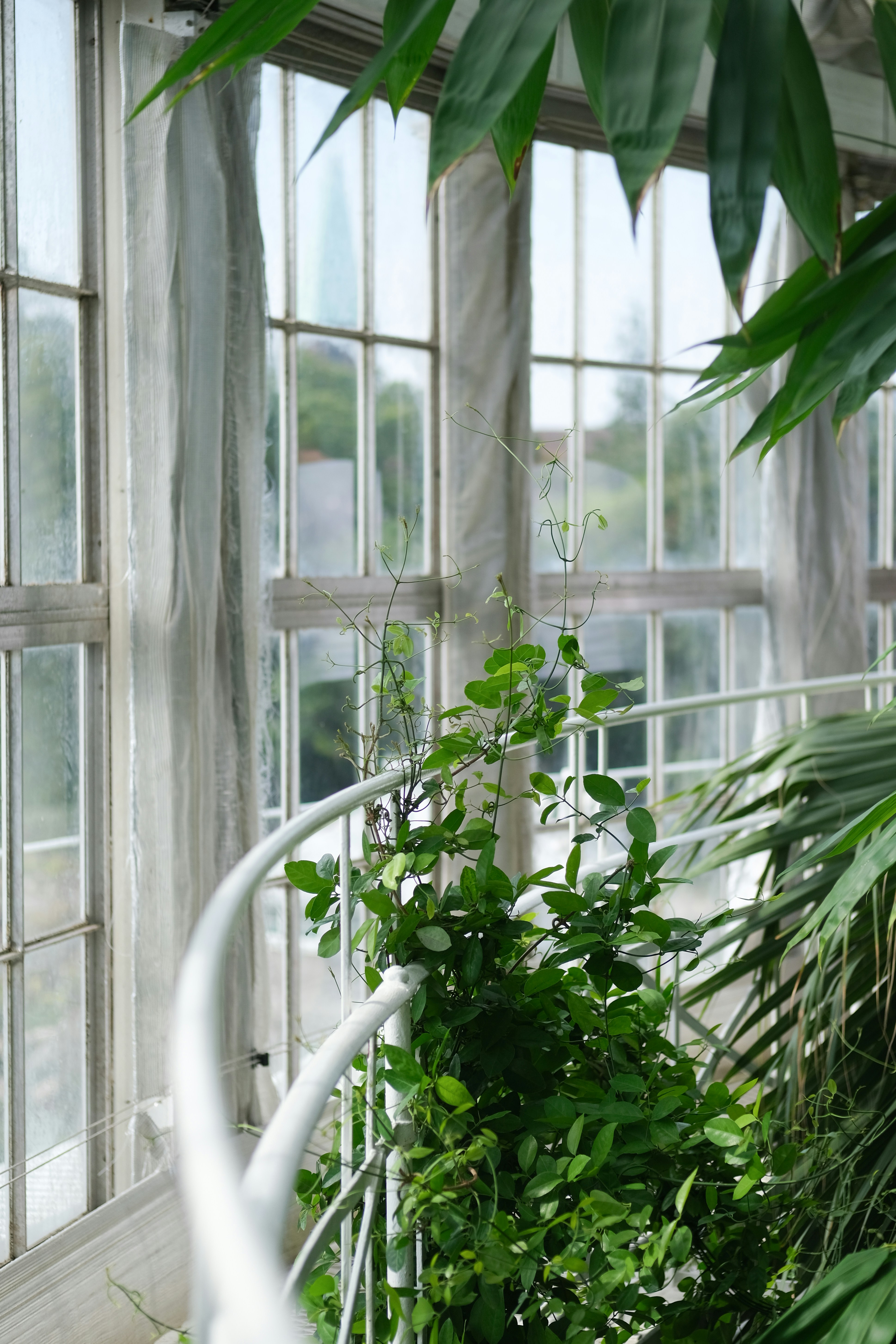 Photo by sara_thaundrdawg