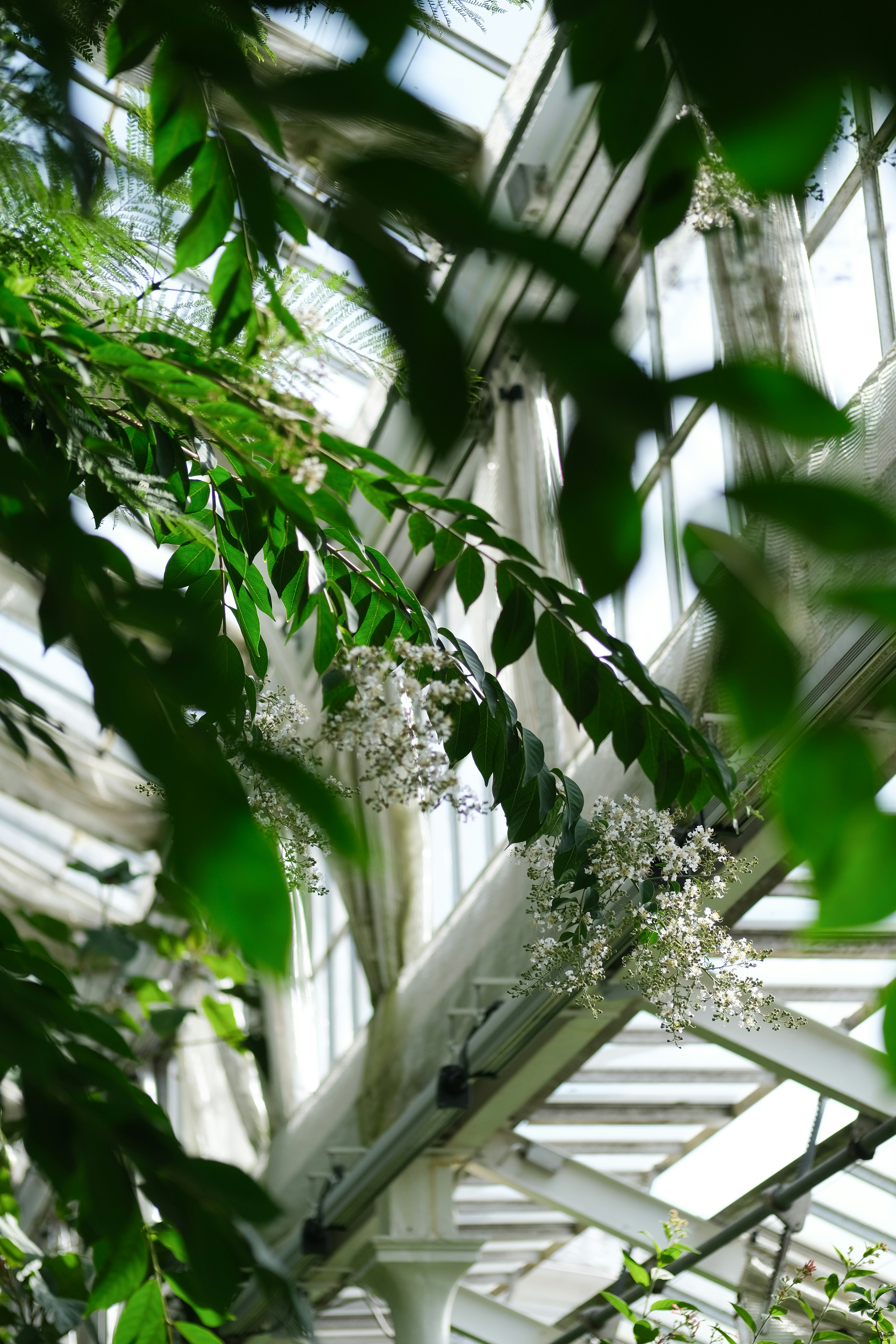 Photo by sara_thaundrdawg