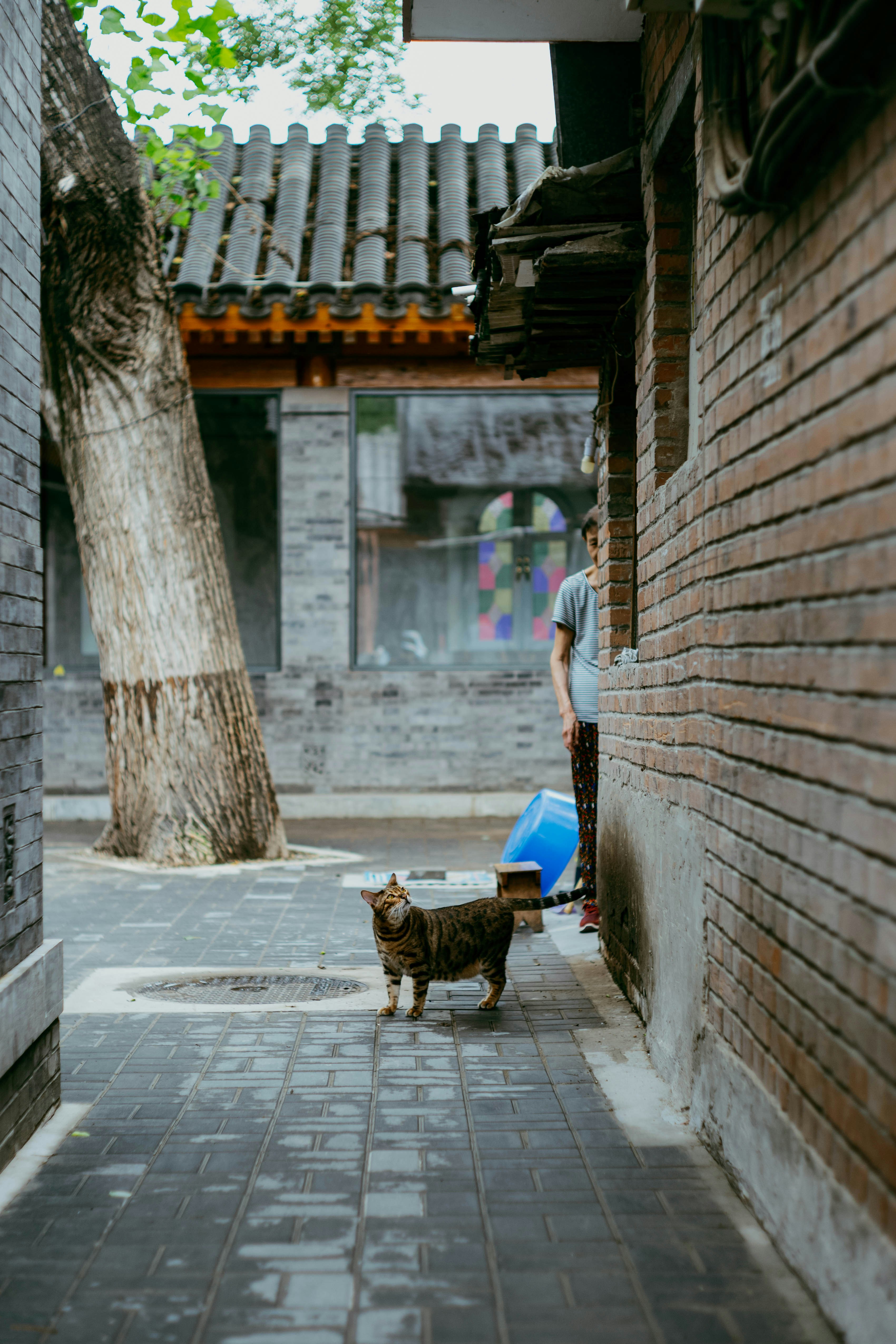 Photo by tommaomaoer