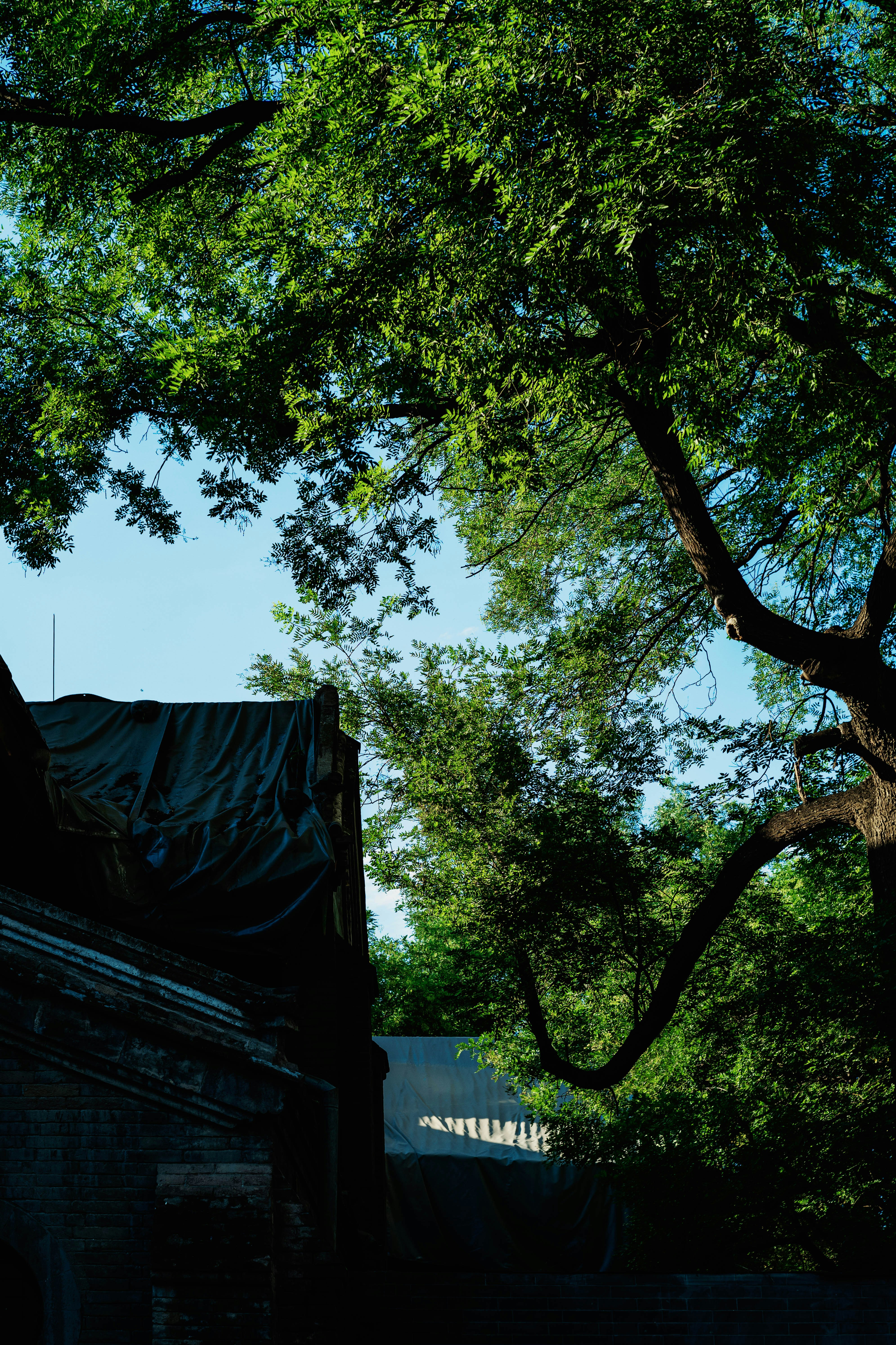 Photo by tommaomaoer