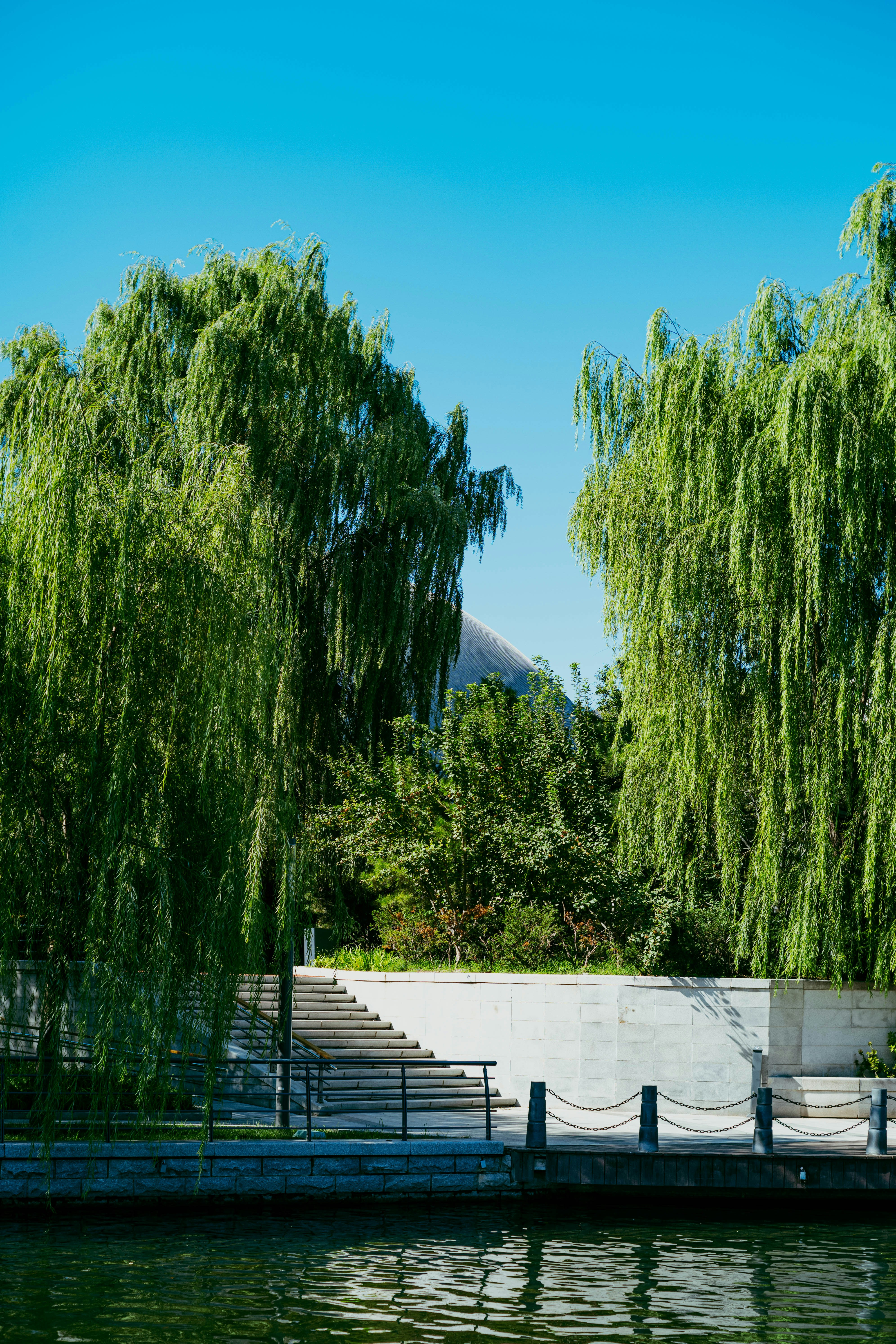 Photo by tommaomaoer