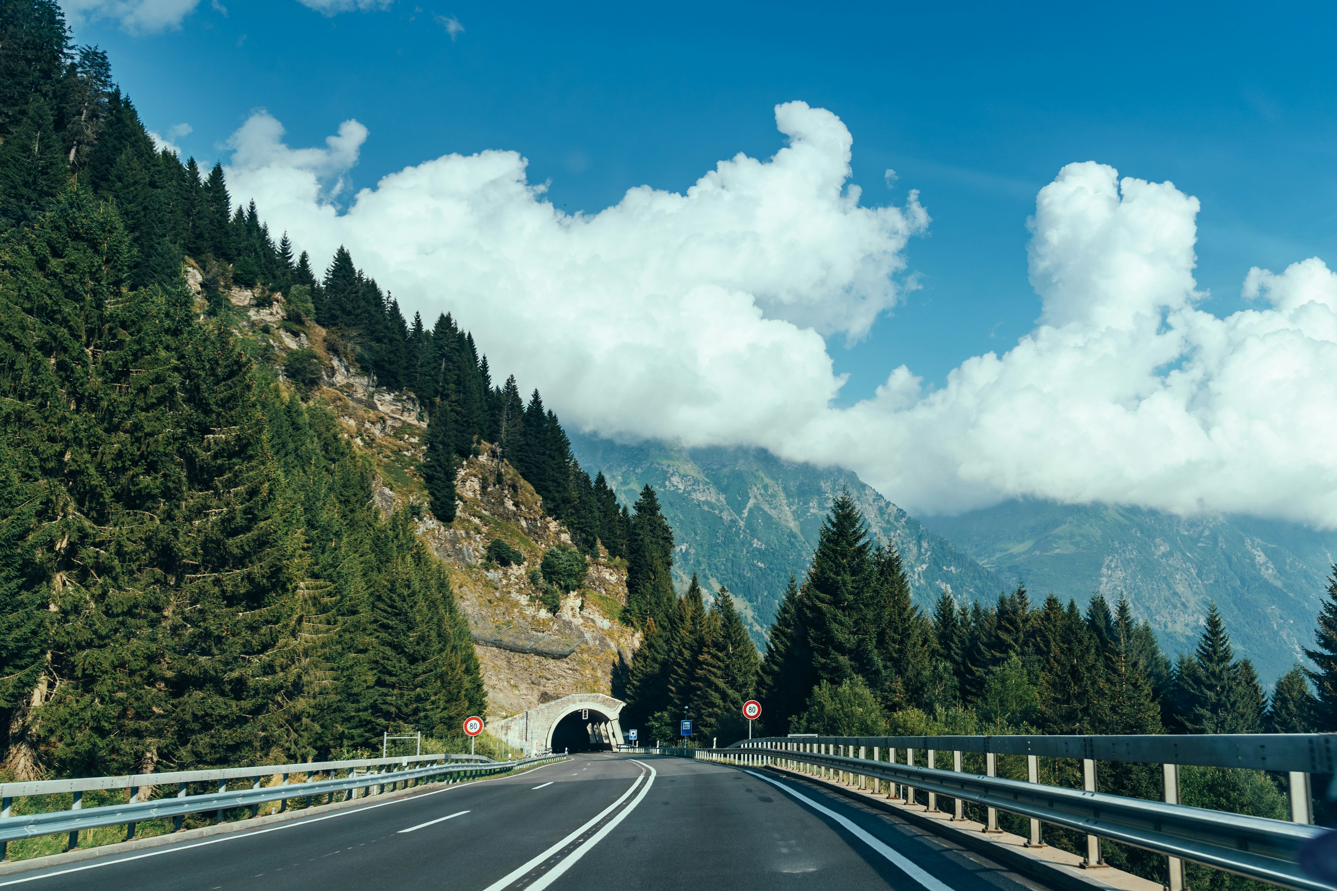 Mountain road with tunnel and pine trees