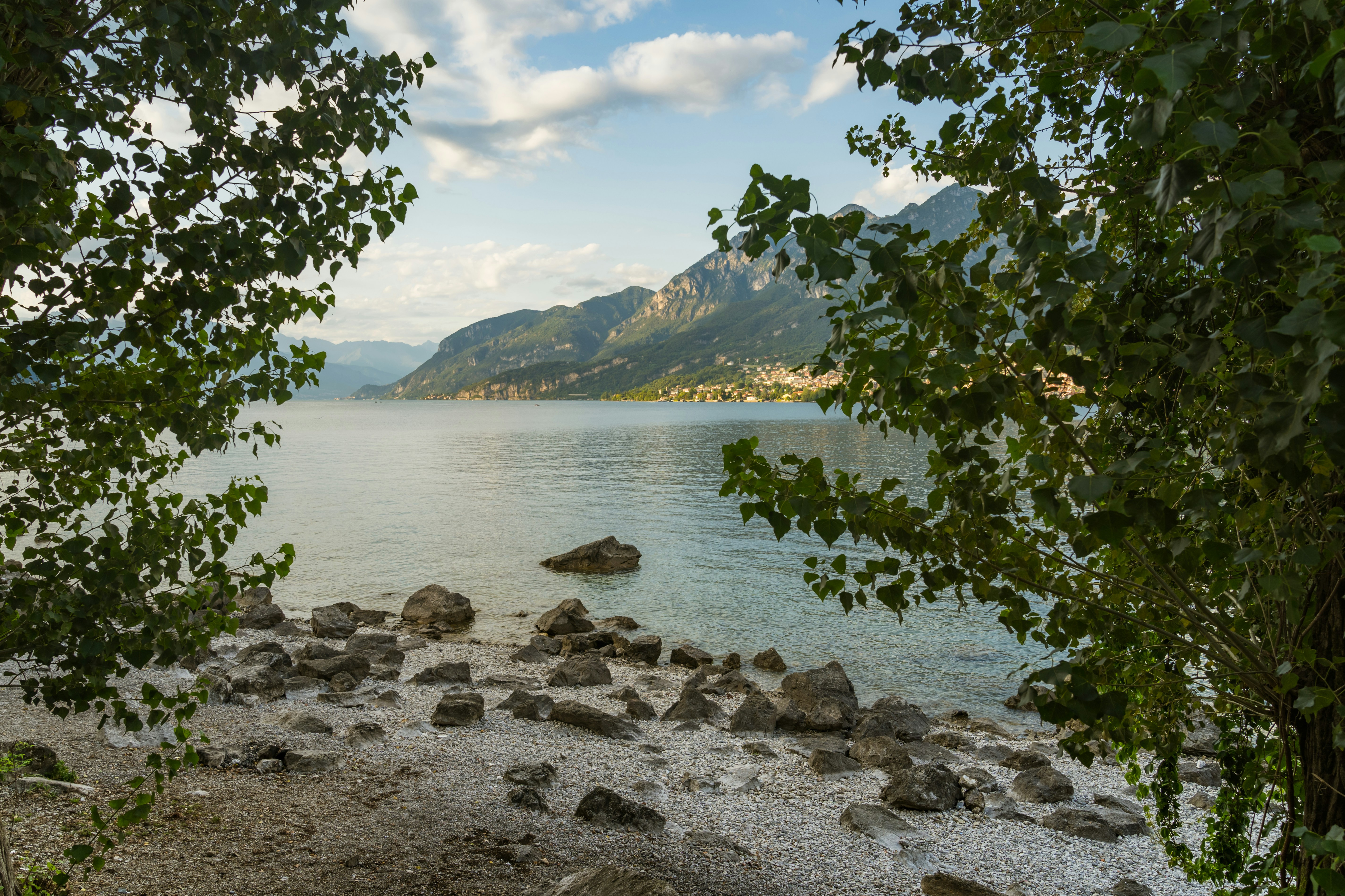 Photo by hassananayi