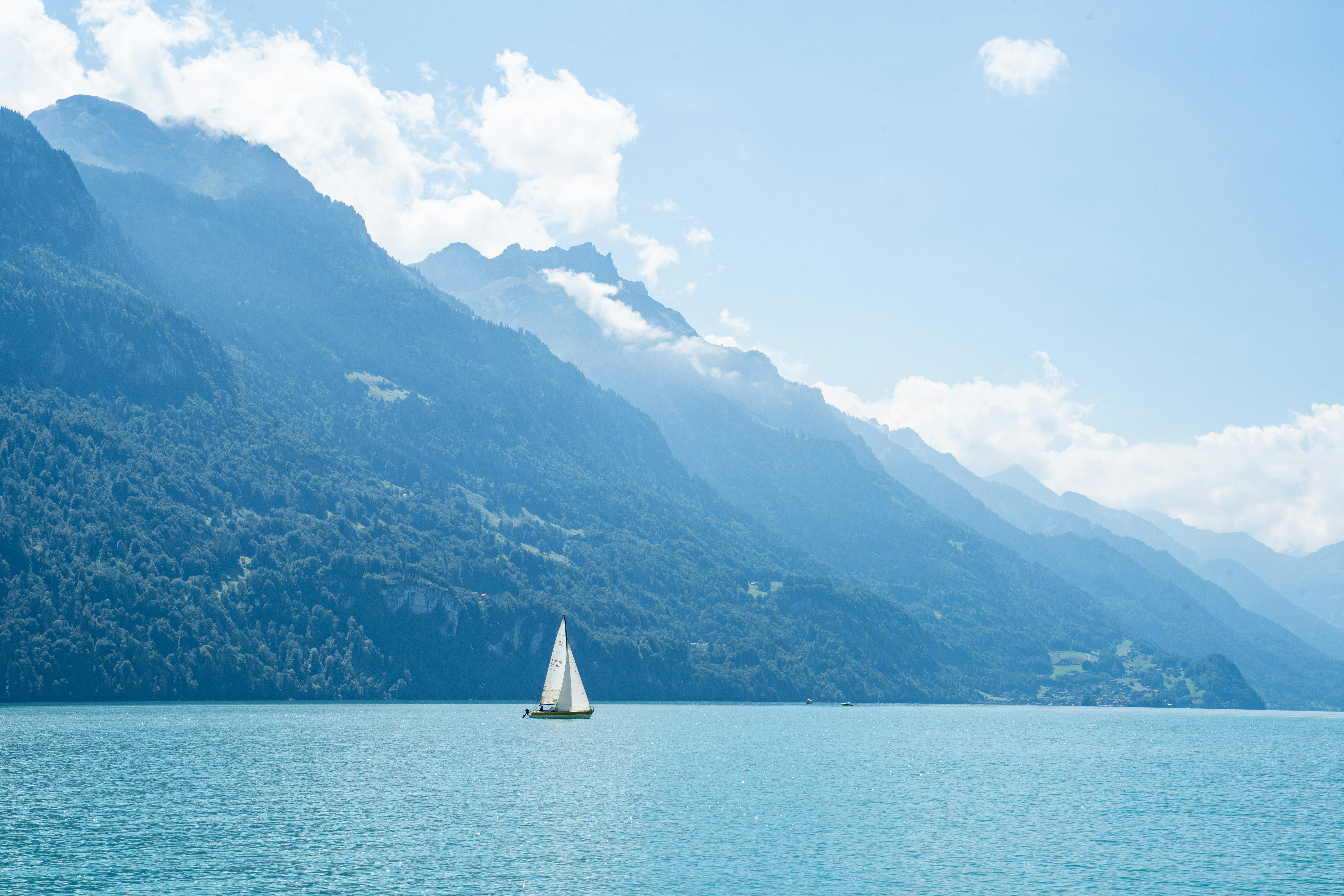 Photo by hassananayi