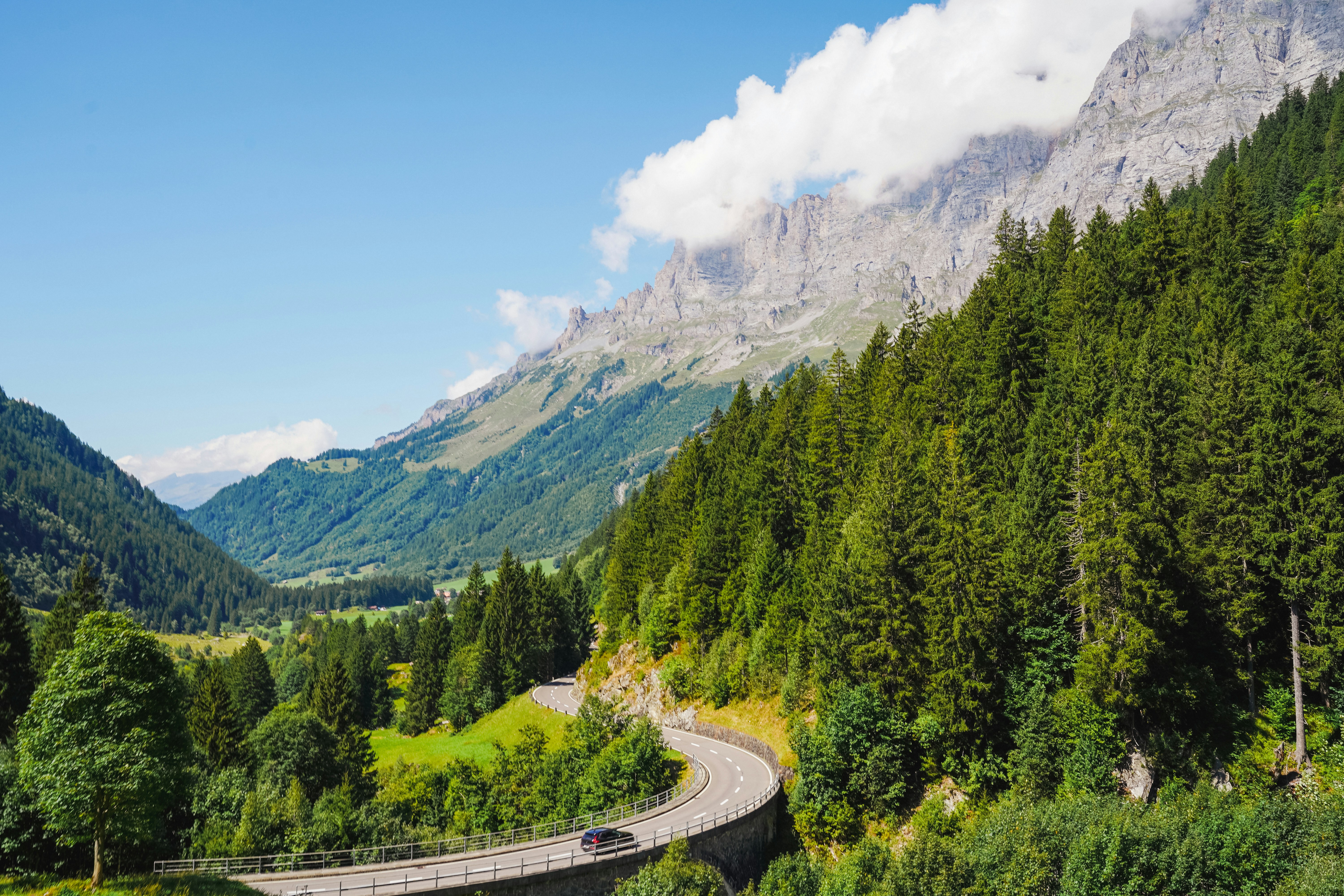 Winding mountain road through lush green forest
