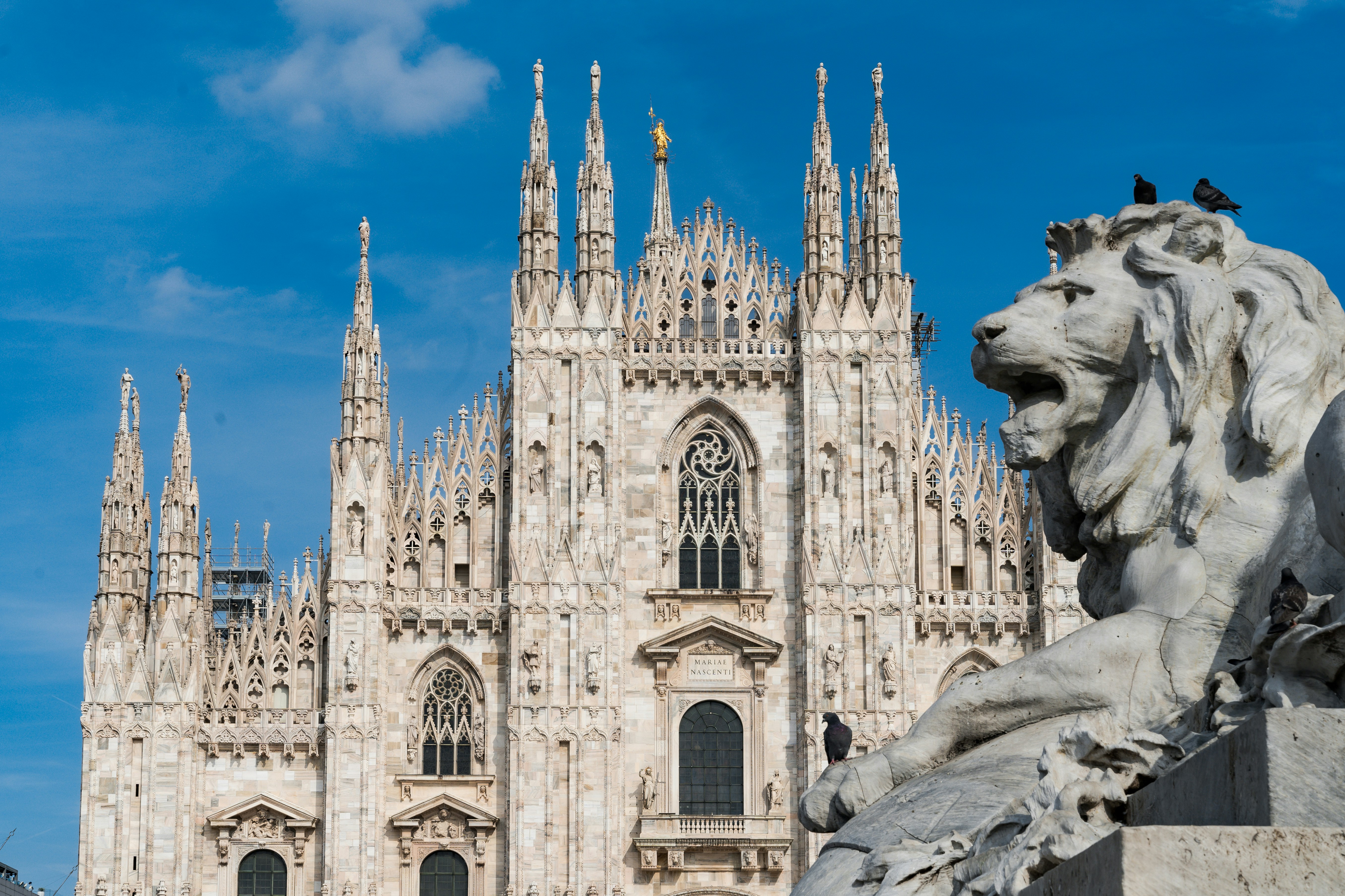 Lion statue with duomo di milano cathedral behind