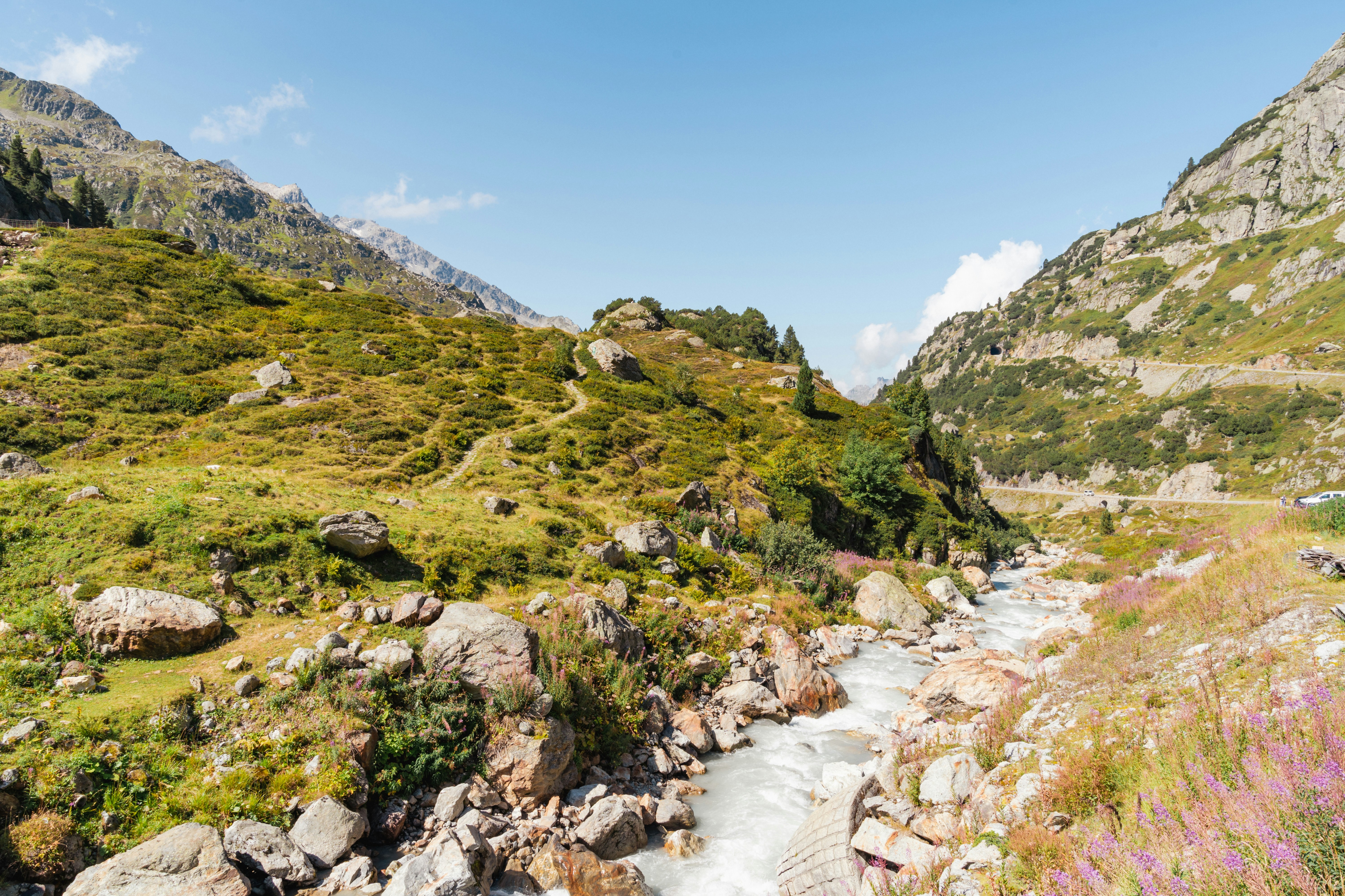 Photo by hassananayi