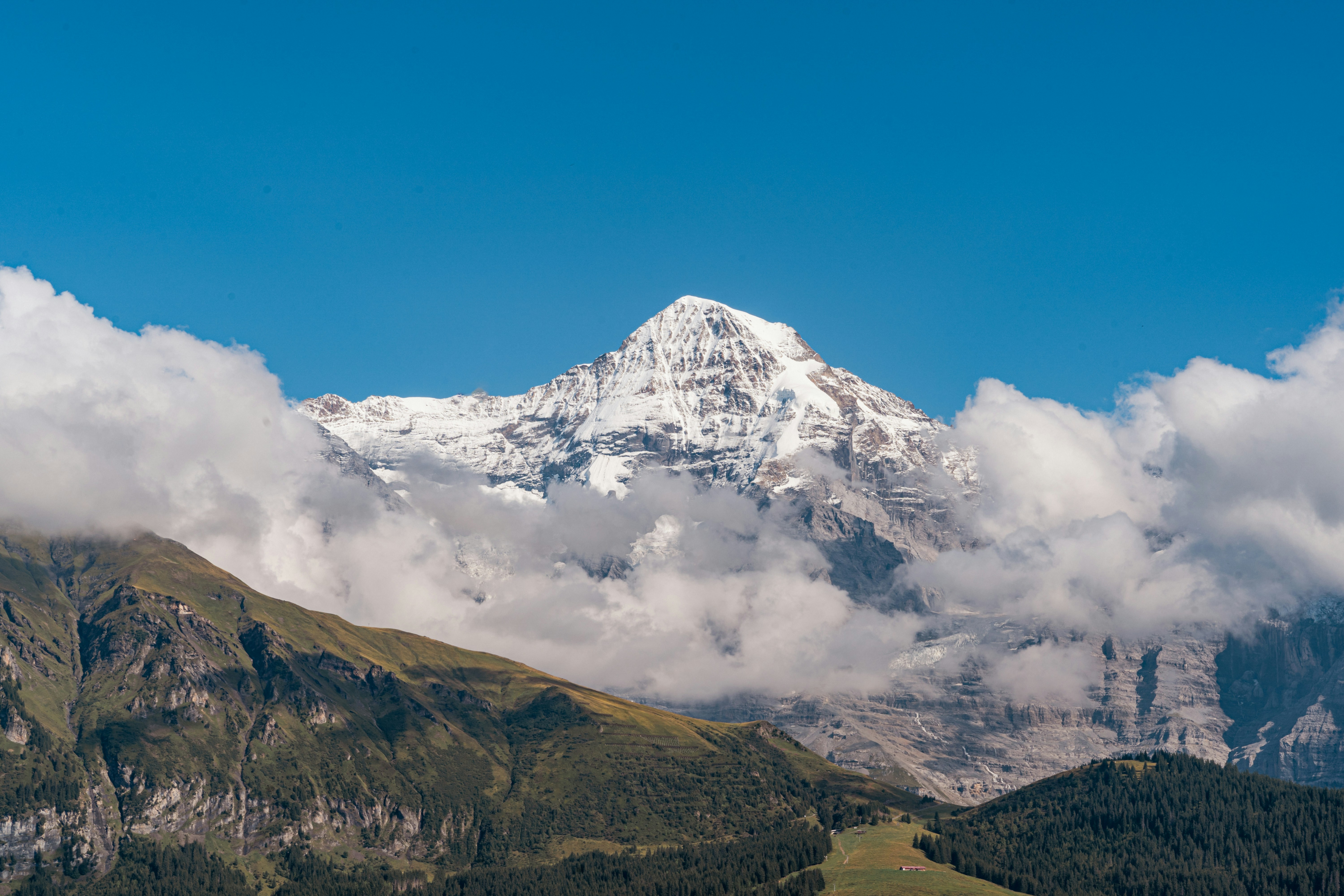 Photo by hassananayi