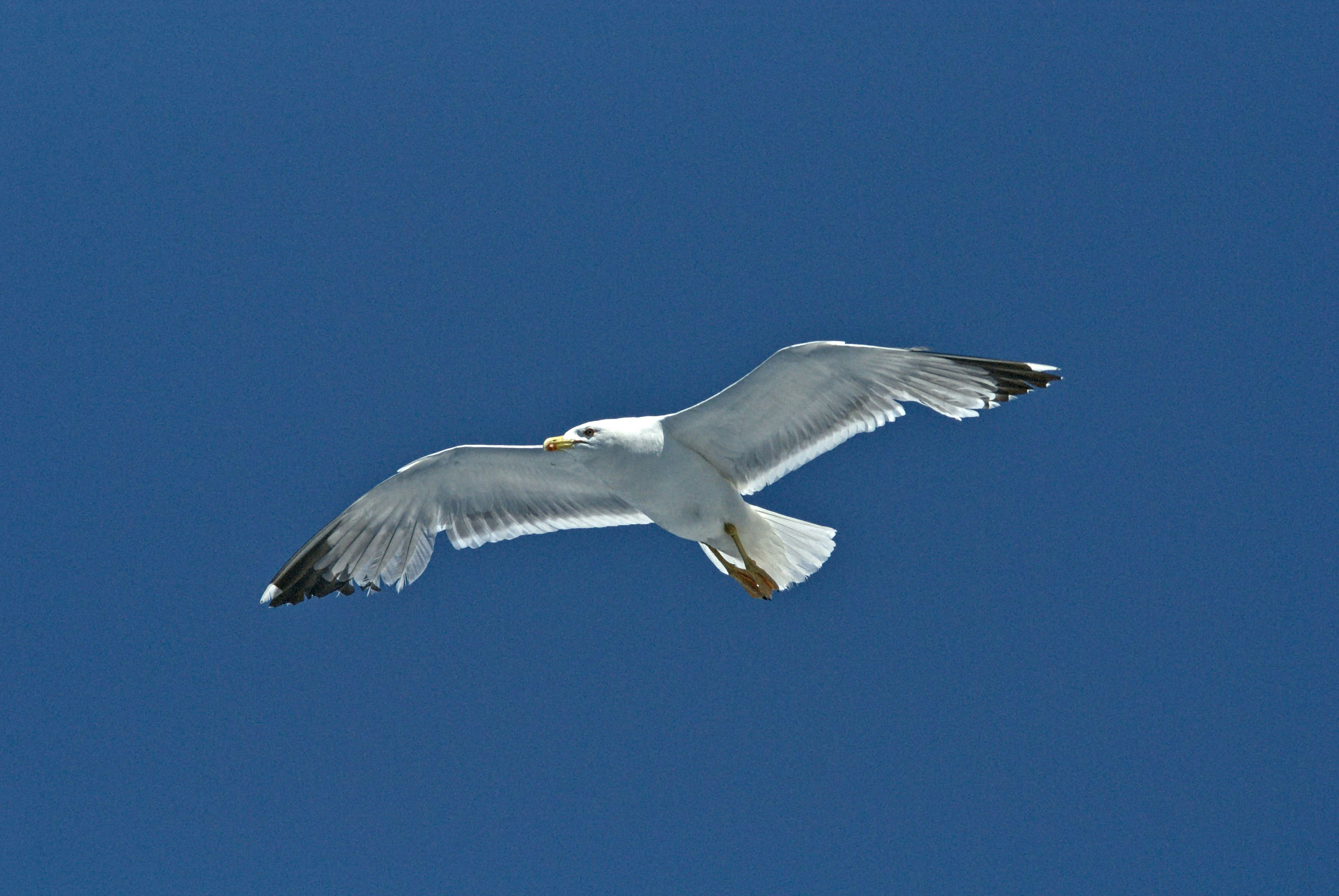 Photo by gaborfromhungary