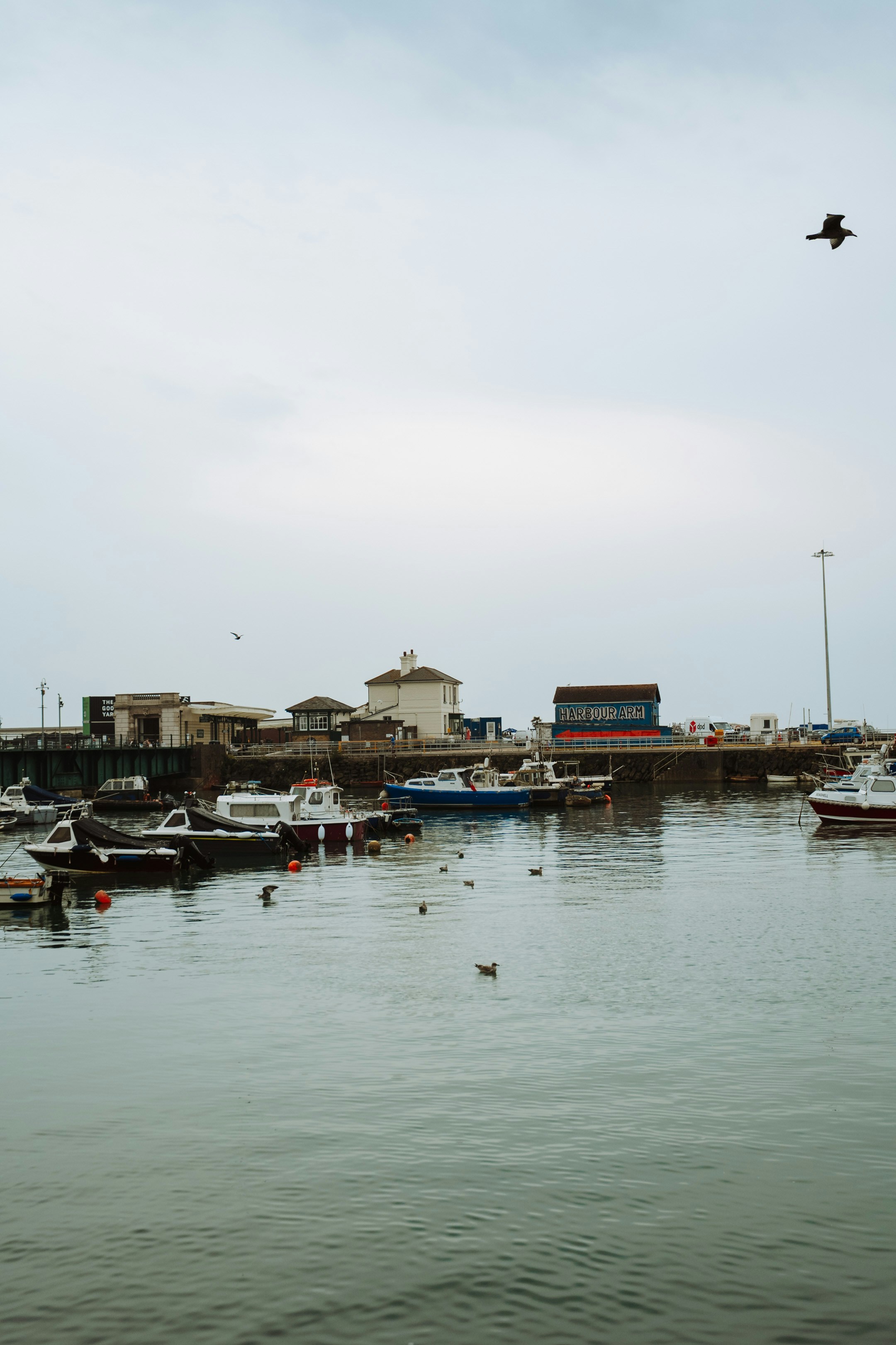 Photo by lauralalis06