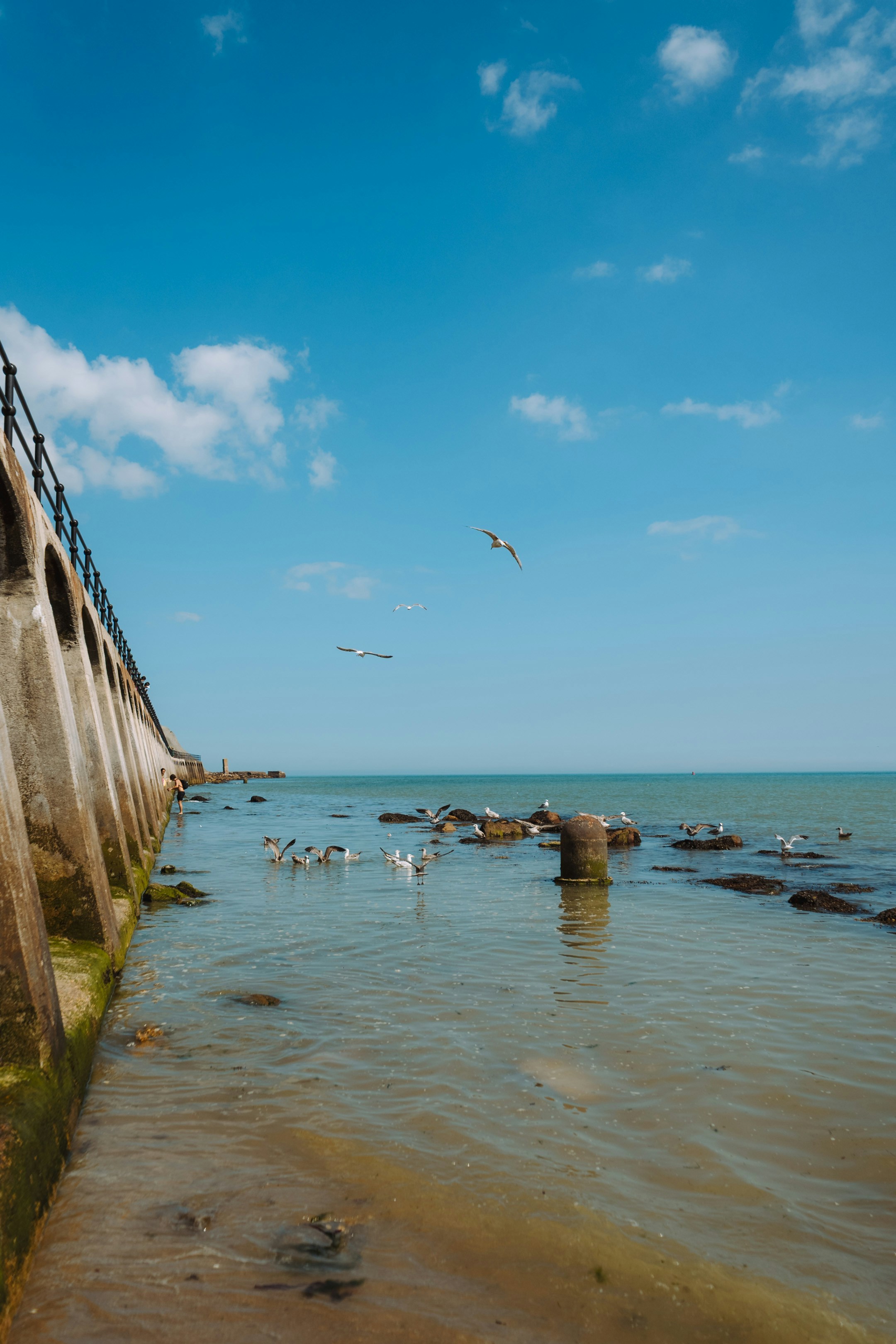 Seagulls rest on rocks near a stone wall