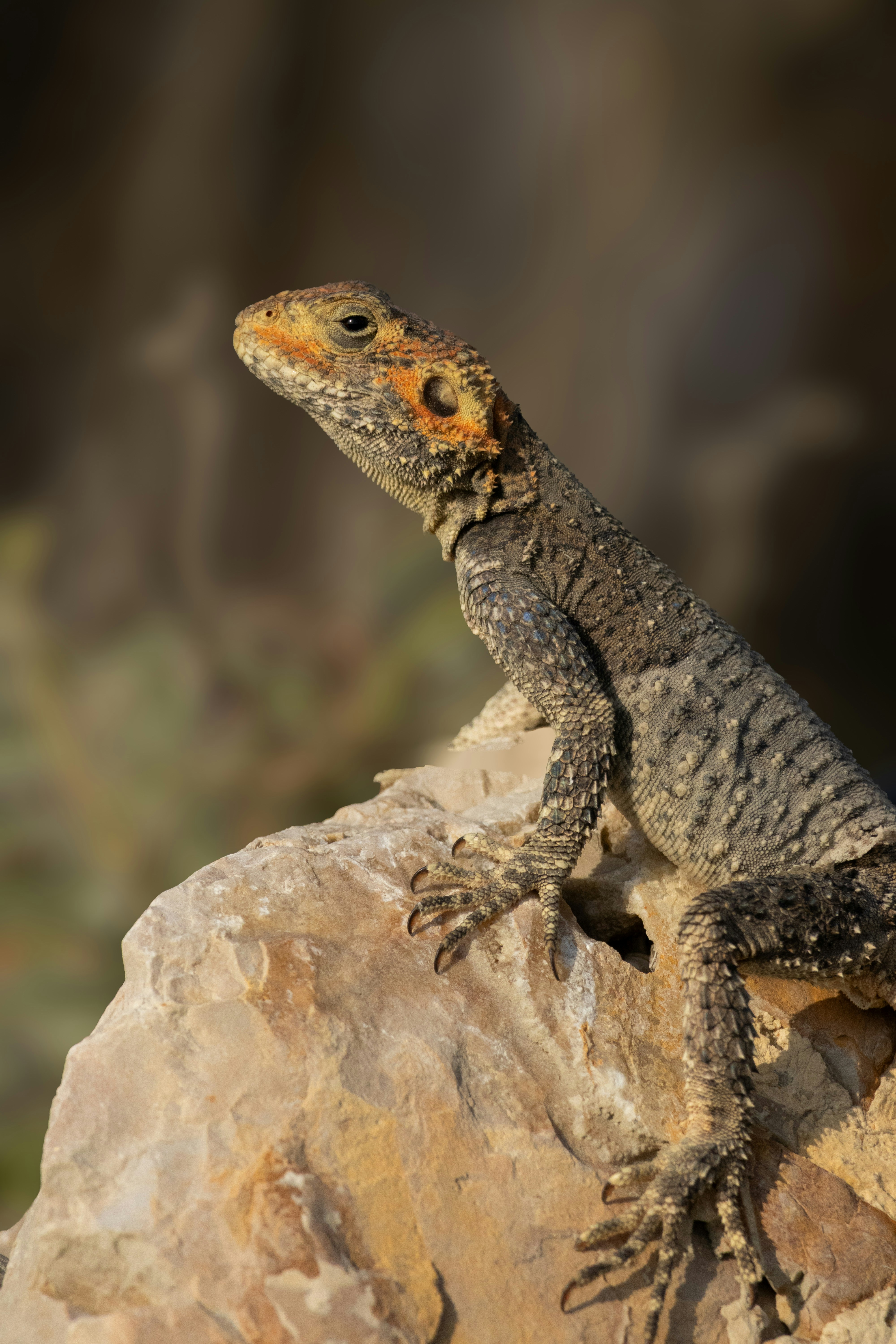 Photo by burakemrecr