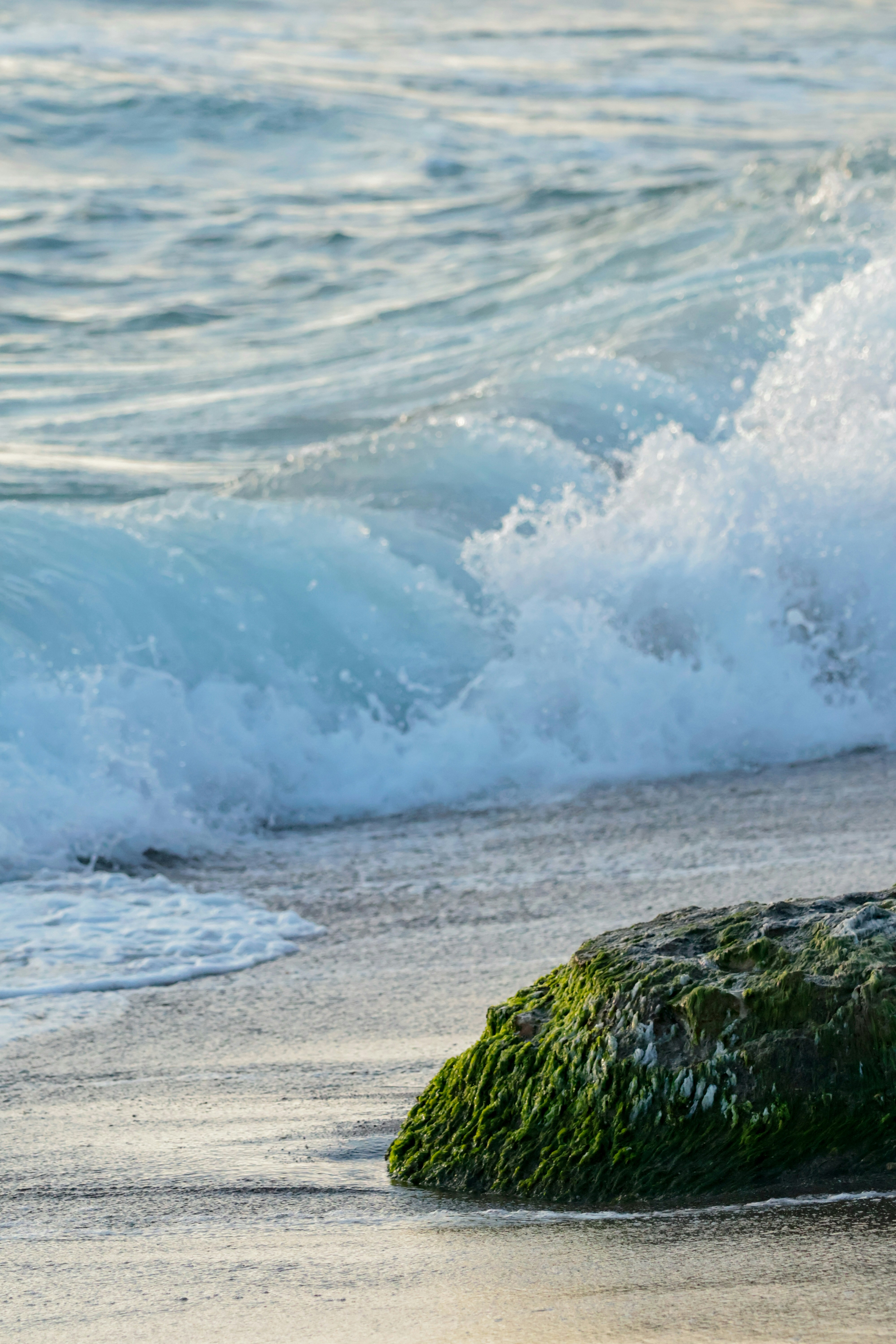 Photo by burakemrecr