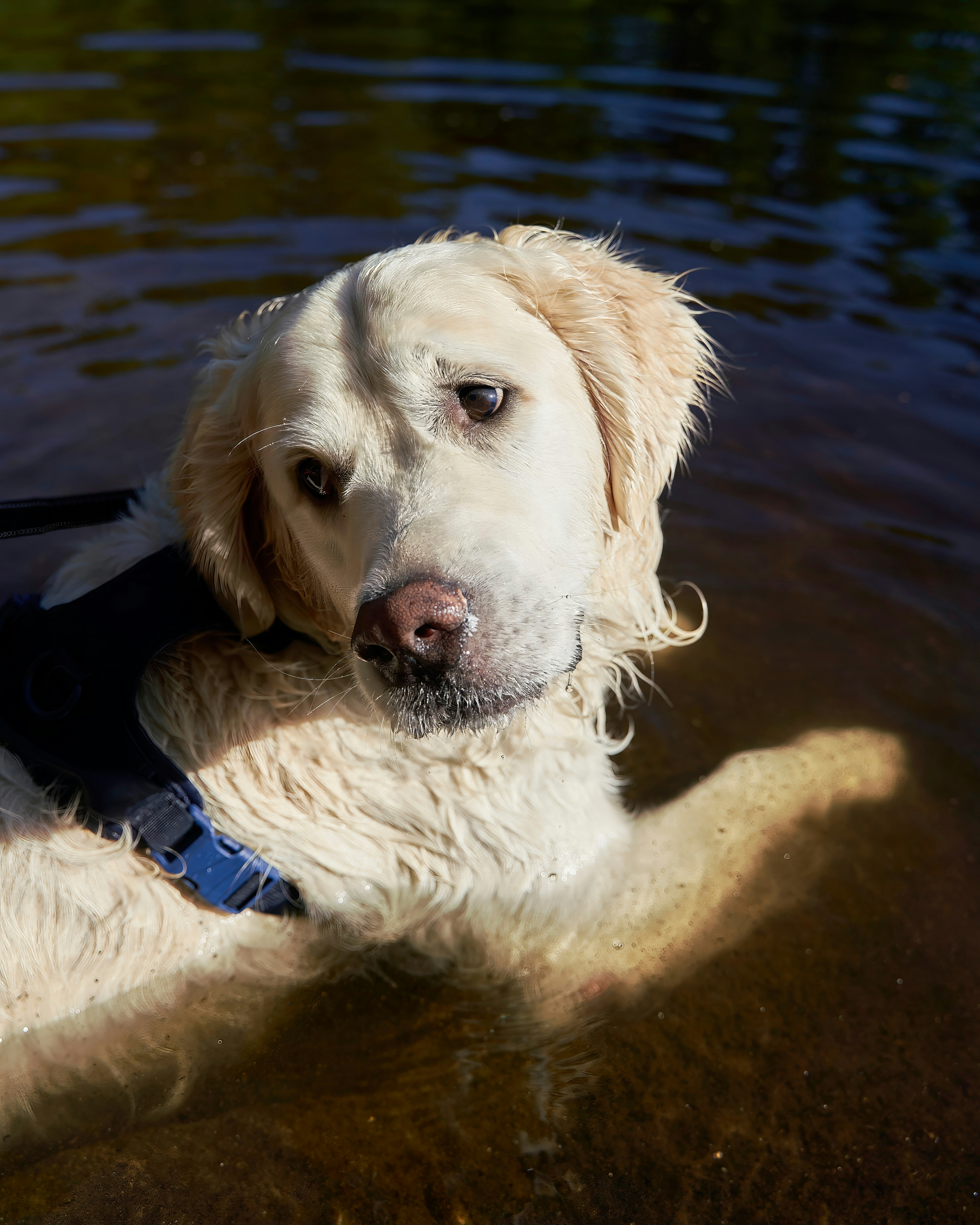 Photo by davotibarna