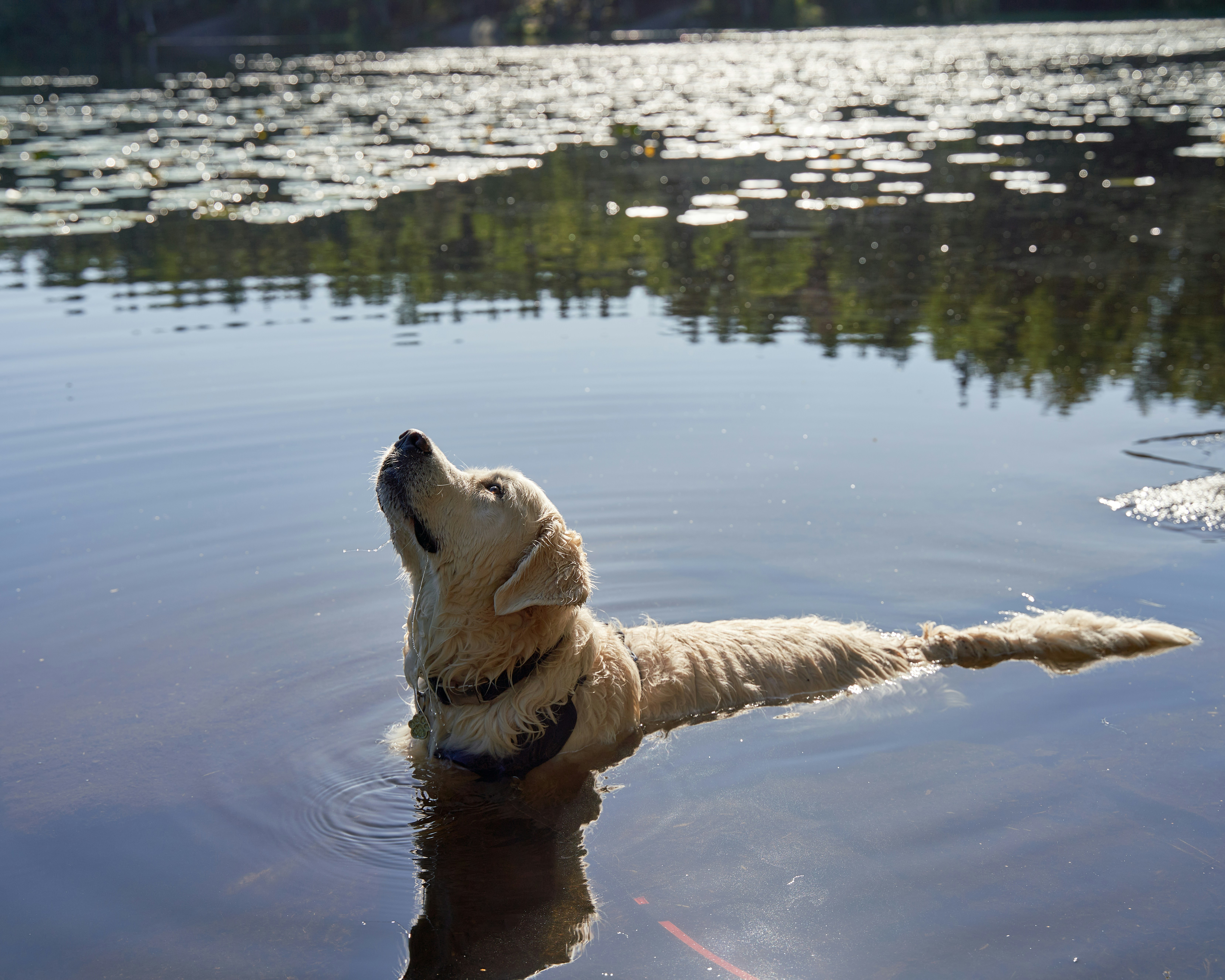 Photo by davotibarna