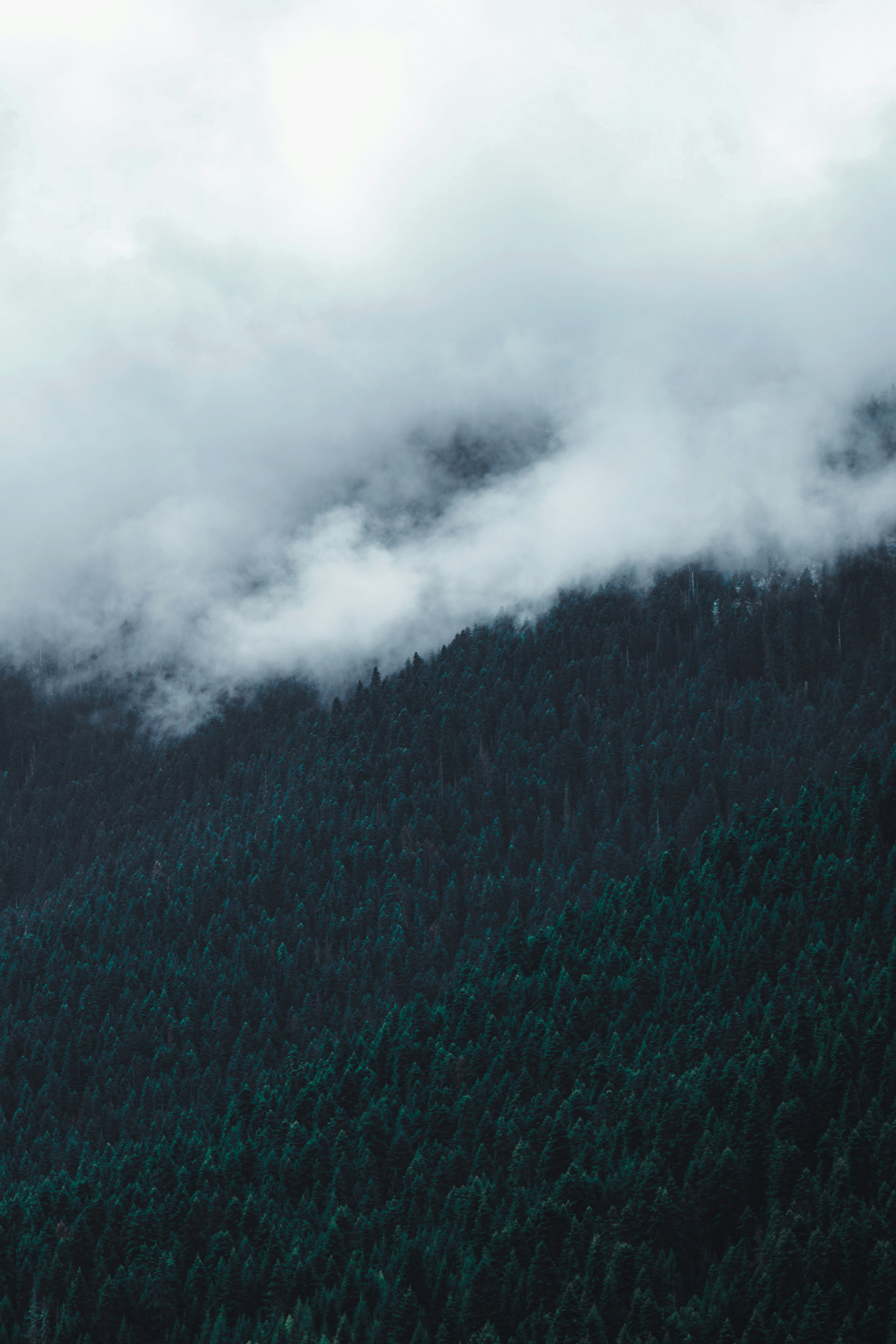 Photo by burakemrecr