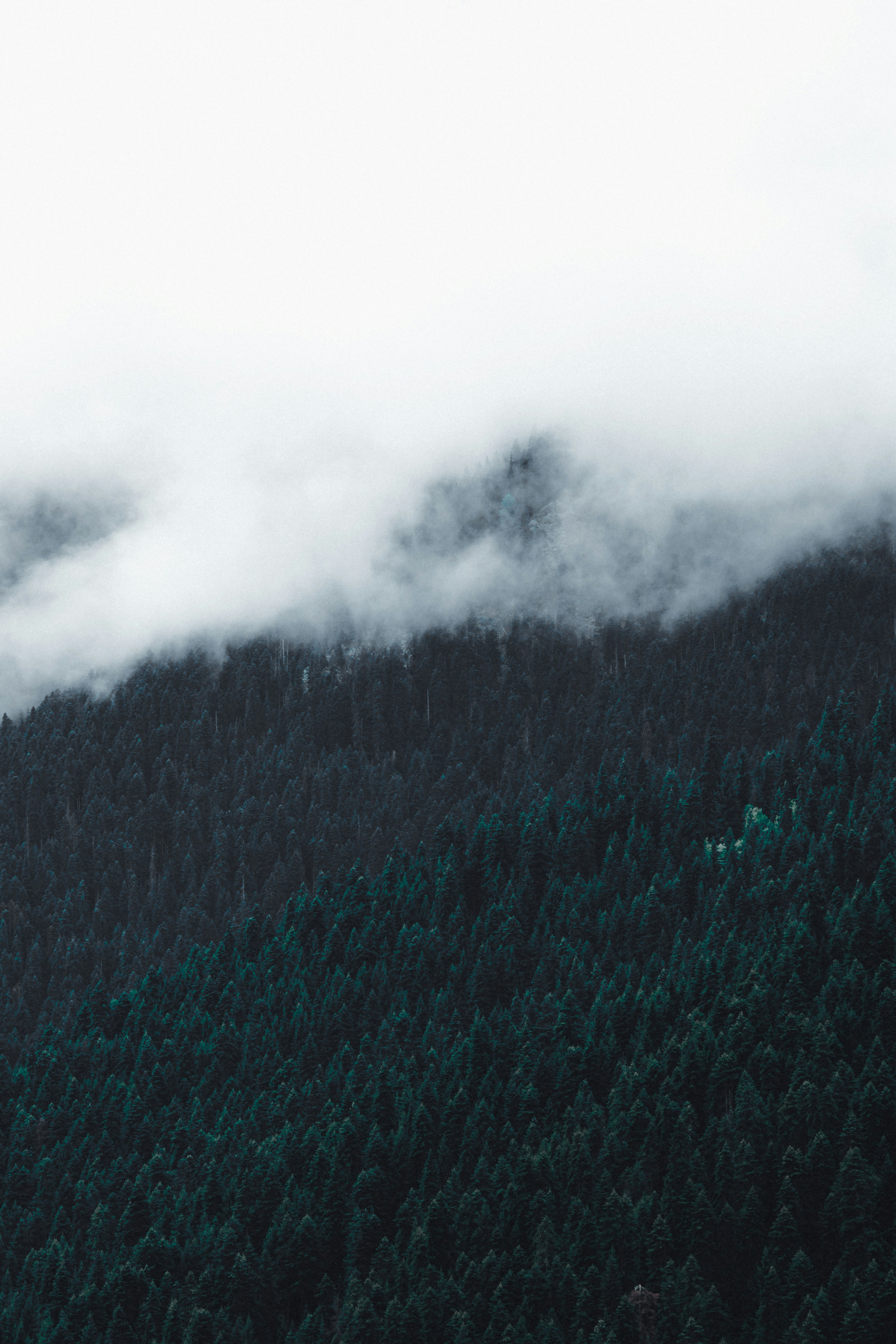 Photo by burakemrecr