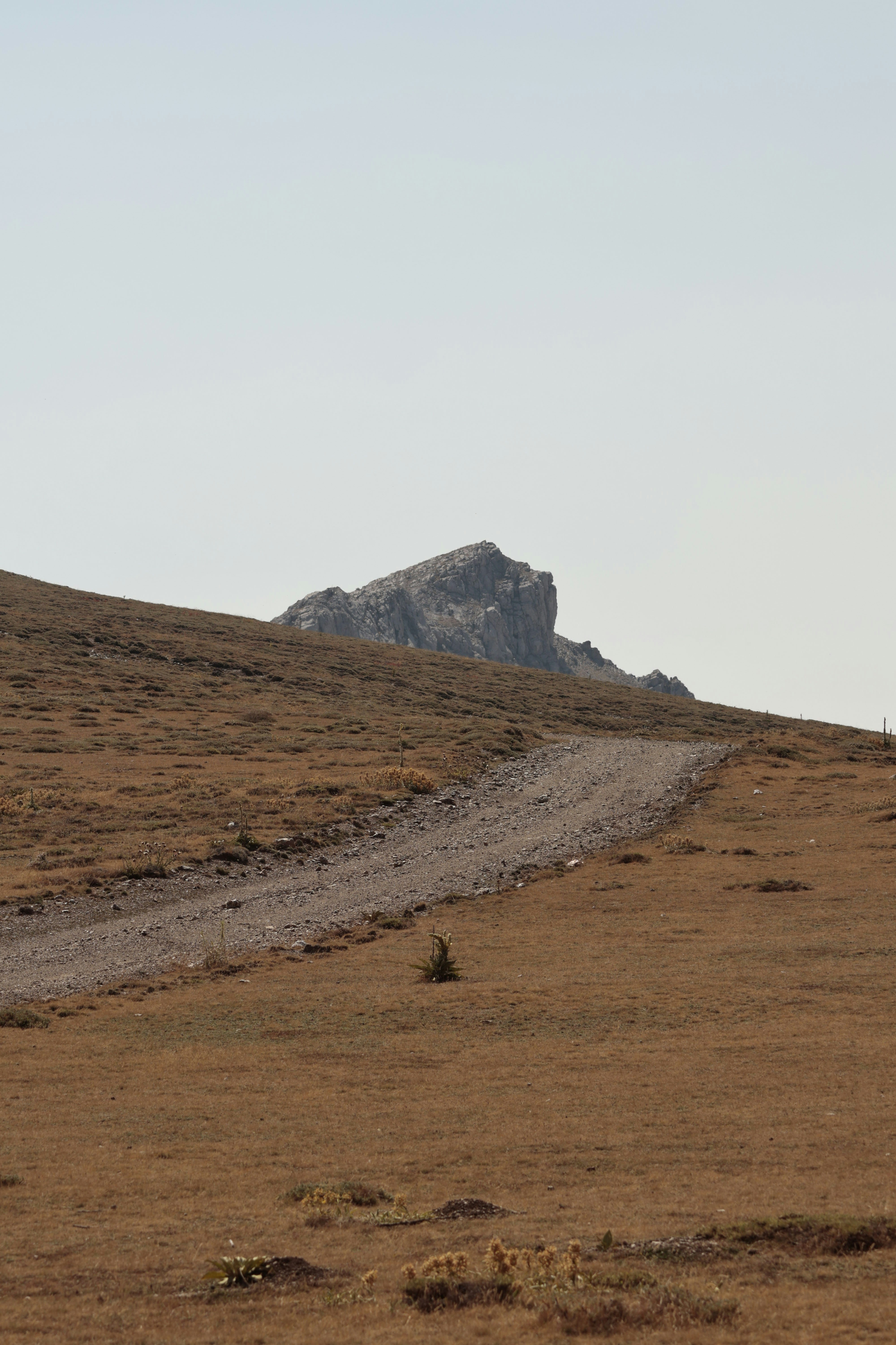 A dirt path leads towards a rocky mountain peak.
