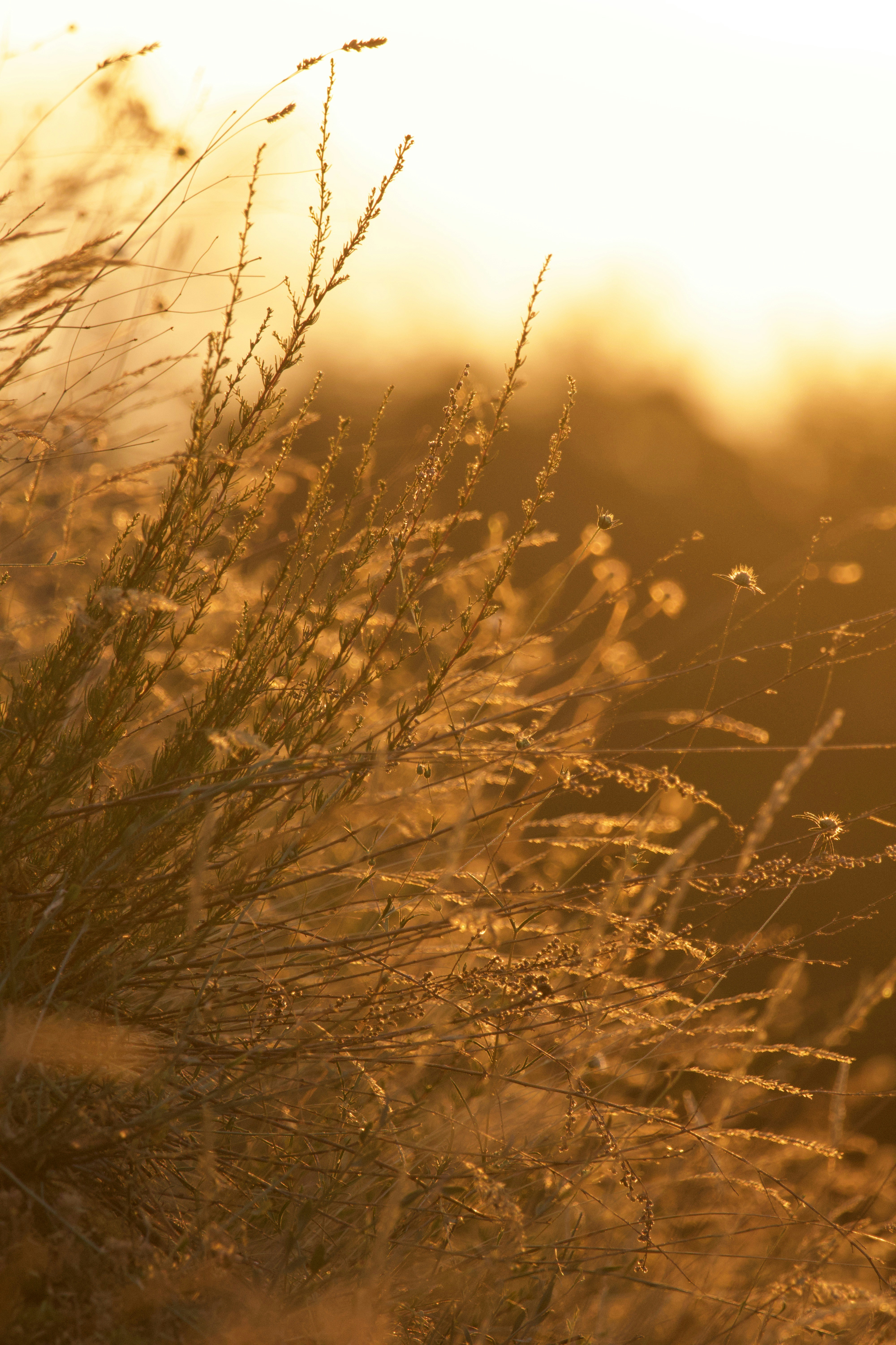 Photo by burakemrecr