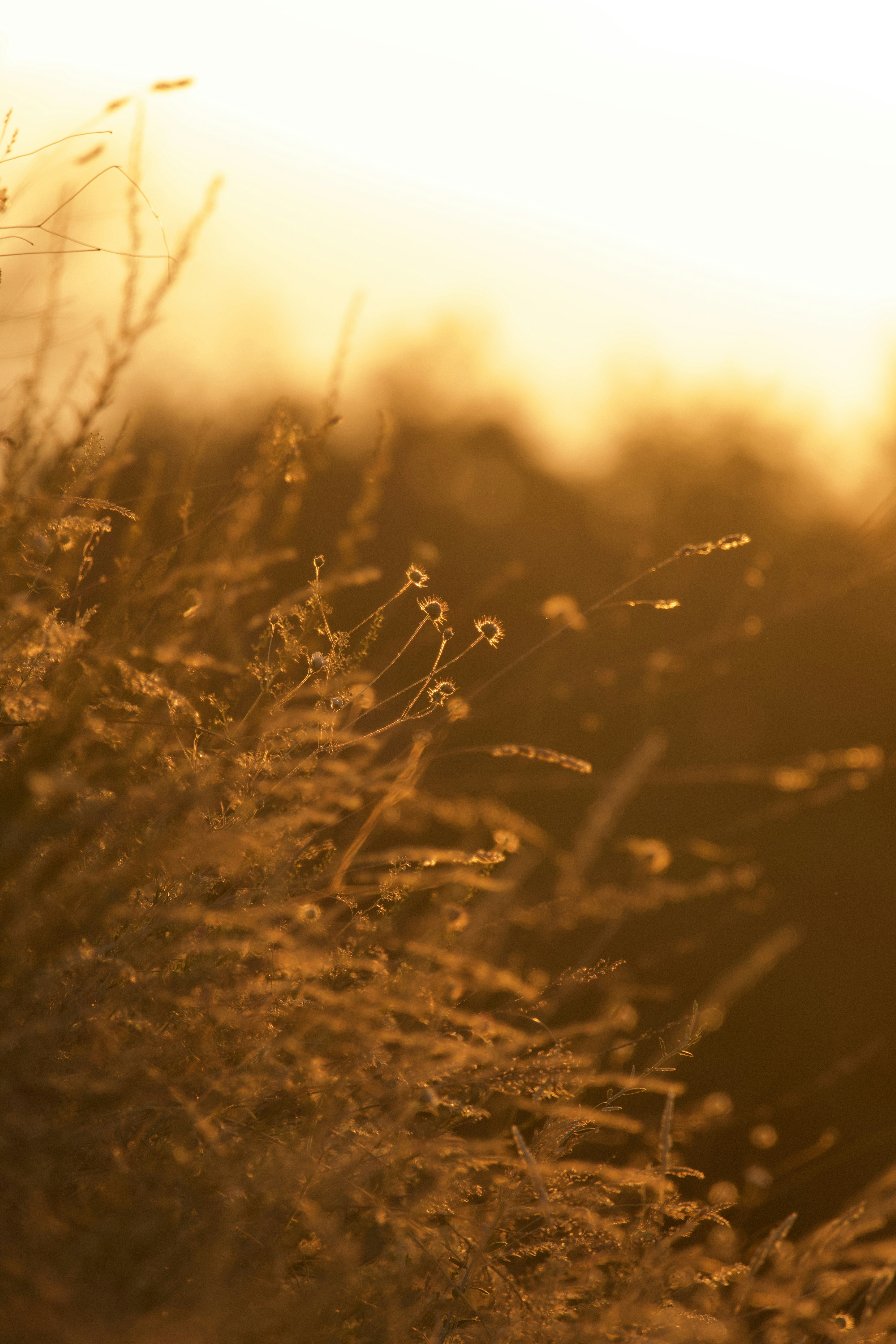 Photo by burakemrecr